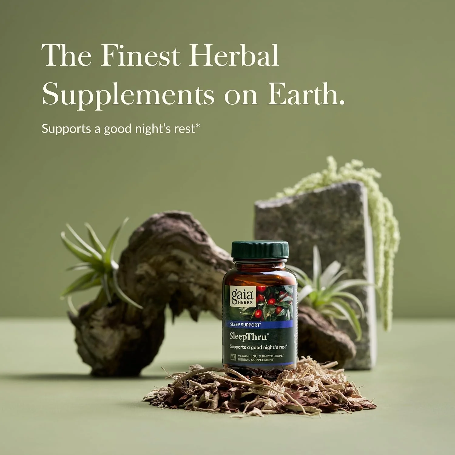 گایا هربز SleepThru - مکمل طبیعی برای پشتیبانی از خواب حاوی ریشه آشواگاندا ارگانیک، پوست درخت ماگنولیا ارگانیک، گل ساعتی و خرمای عناب - 60 کپسول فیتو مایع گیاهی (مناسب برای 30 روز)