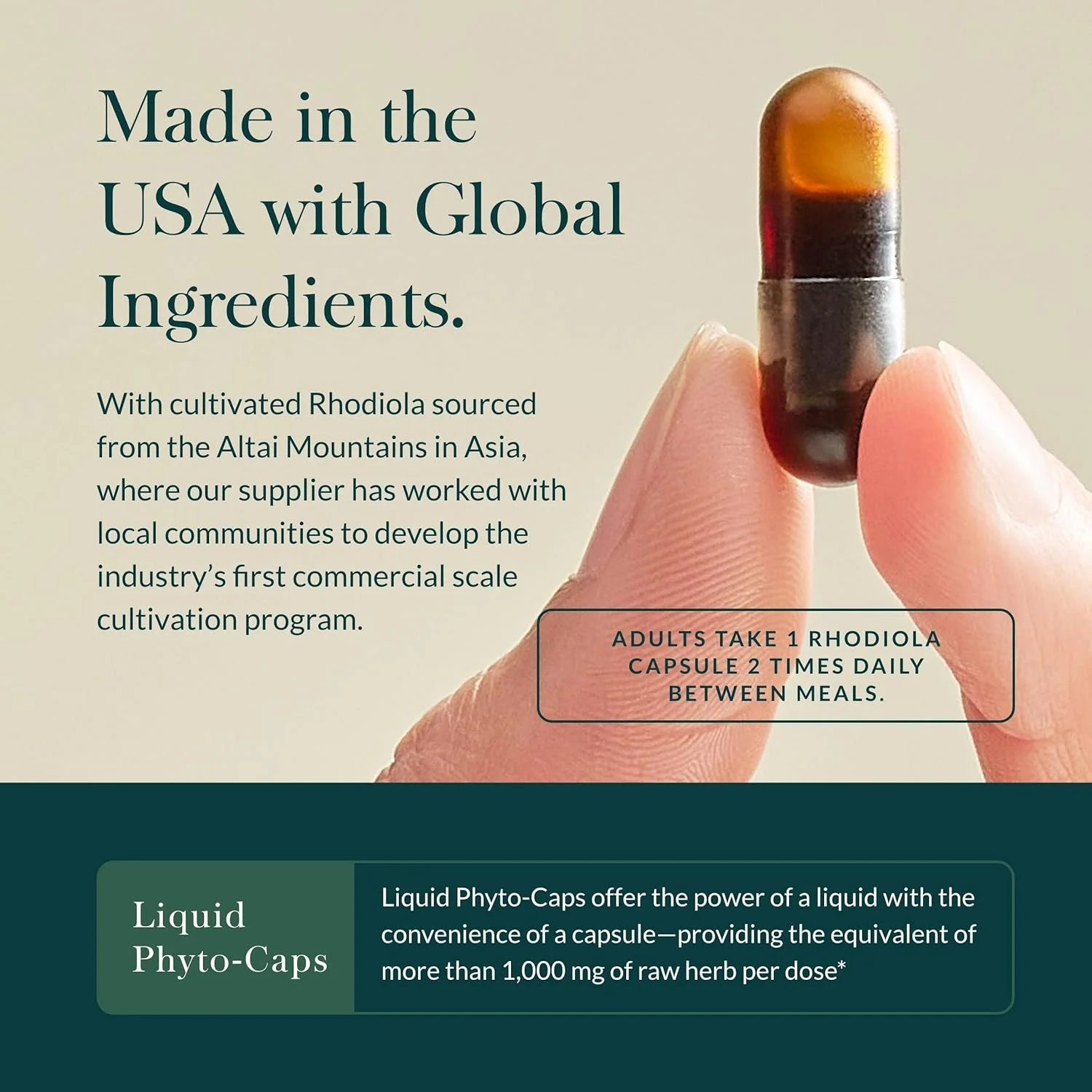 گیاه روديولا رزآ Gaia Herbs - مکمل پشتیبانی از استرس، به طور سنتی برای حمایت از بنیه و استقامت سالم - حاوی عصاره ریشه رودیولا سیبری - 60 کپسول فیتو مایع گیاهی (مناسب برای 30 روز)