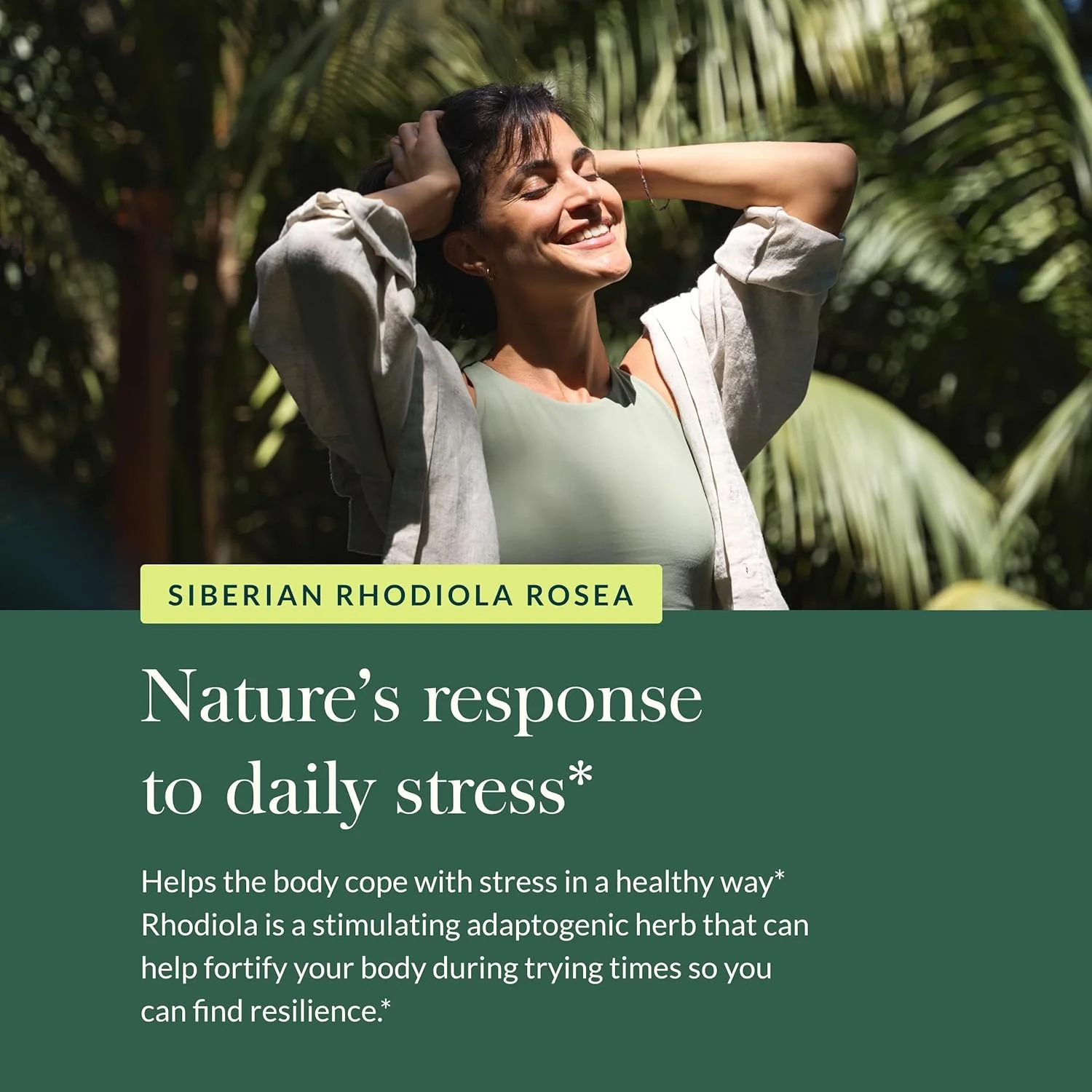 گیاه روديولا رزآ Gaia Herbs - مکمل پشتیبانی از استرس، به طور سنتی برای حمایت از بنیه و استقامت سالم - حاوی عصاره ریشه رودیولا سیبری - 60 کپسول فیتو مایع گیاهی (مناسب برای 30 روز)