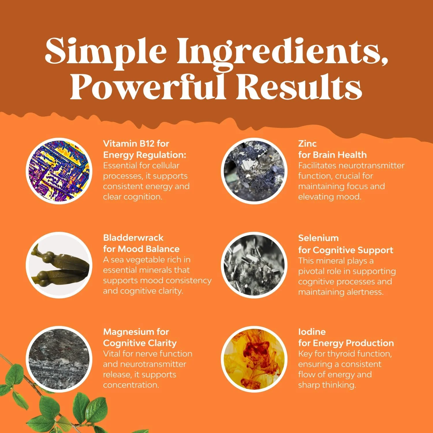 کمپلکس گیاهی پشتیبانی از آدرنال و تیروئید - مکمل تیروئید ید دار با ال تیروزین، فاکوس وزیکولوس، کلپ، سلنیوم و آشواگاندا - تقویت کننده خلق و خو، مکمل انرژی برای سلامت تیروئید - 60 کپسول