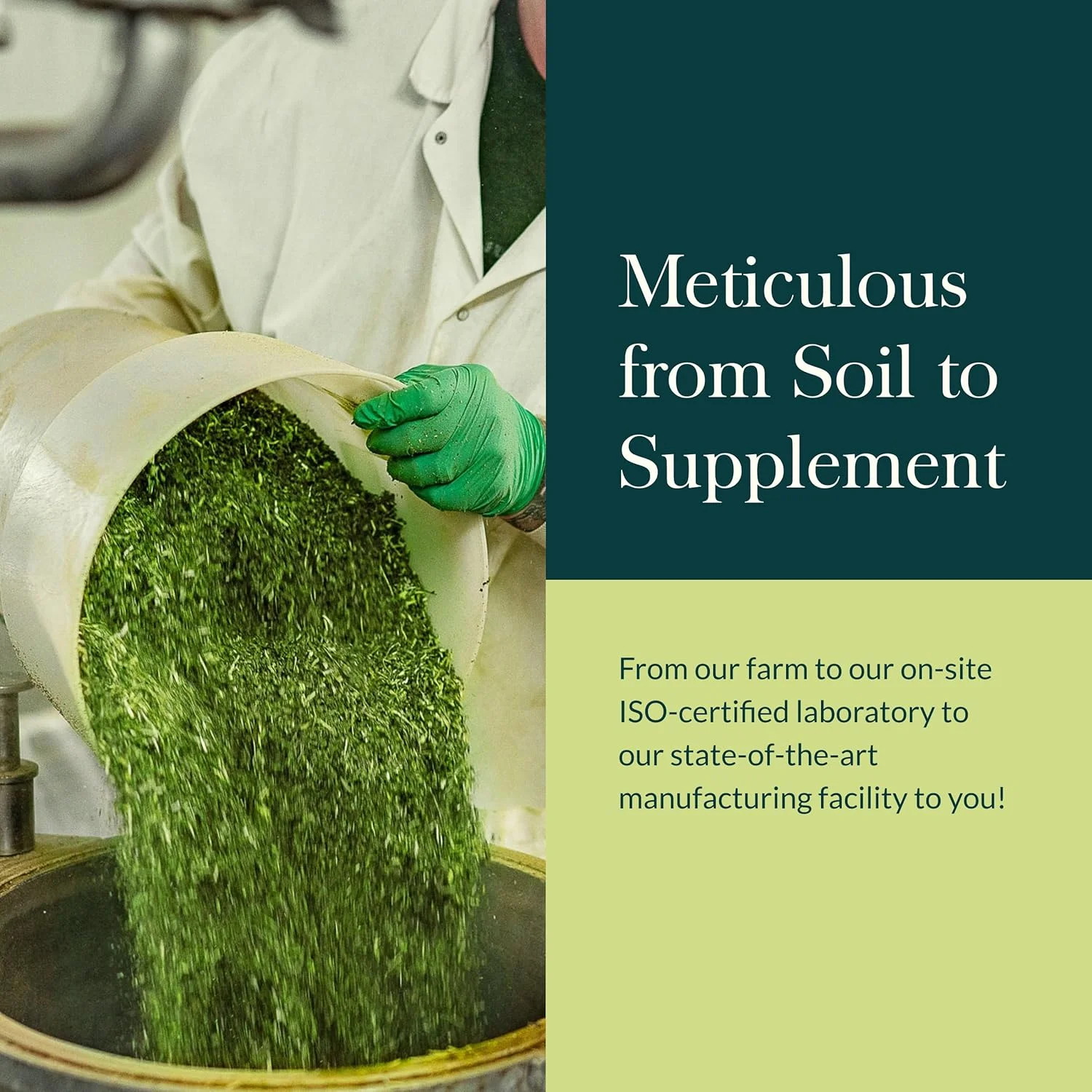 گیاه دارویی گایا، ویتاکس بری - پشتیبانی از تعادل هورمونی و باروری در زنان - 60 کپسول فیتو مایع گیاهی (تامین 30 روزه) گیاه دارویی گایا، ویتاکس بری - پشتیبانی از تعادل هورمونی و باروری در زنان - 60 کپسول فیتو مایع گیاهی (تامین 30 روزه)