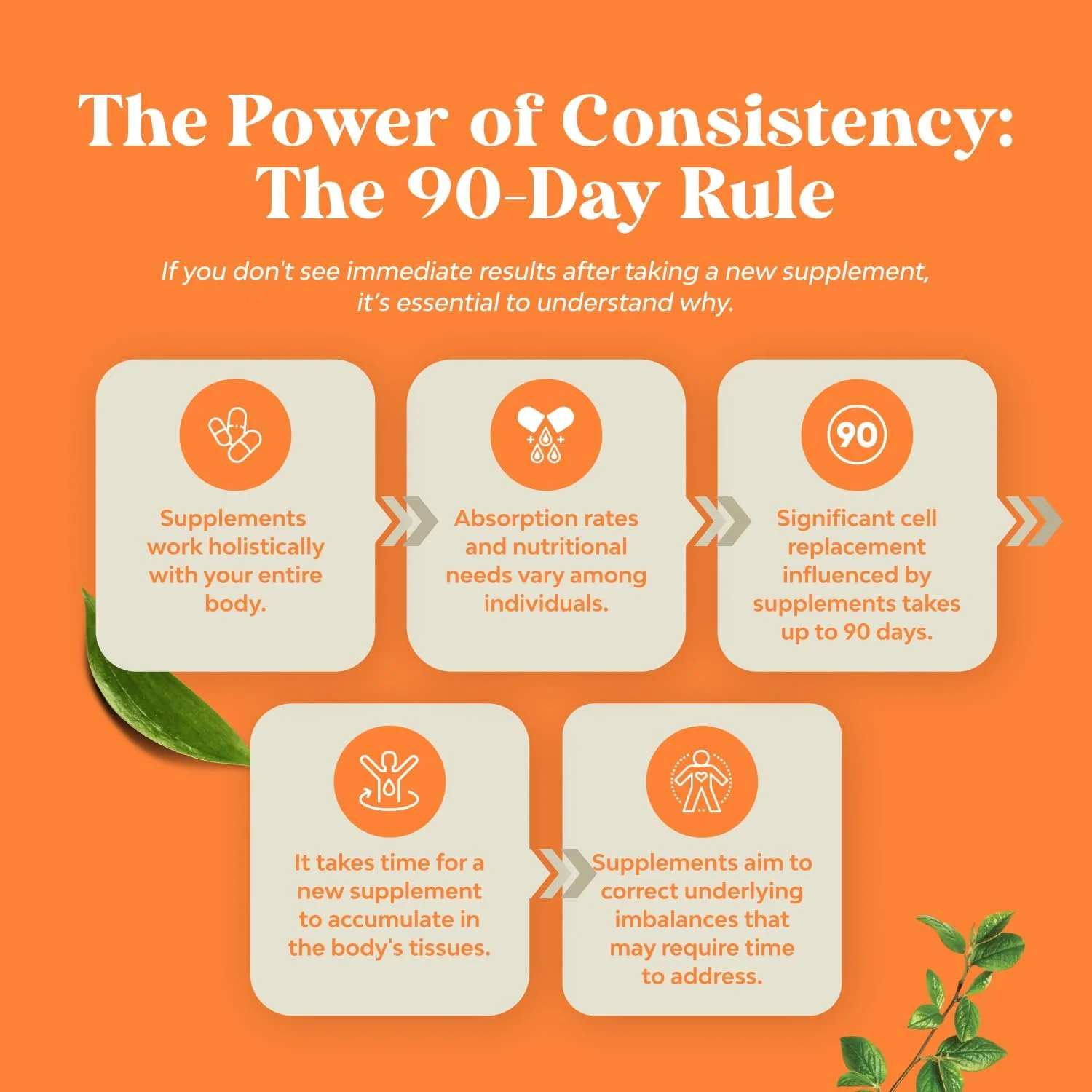 کمپلکس گیاهی پشتیبانی از آدرنال و تیروئید - مکمل تیروئید ید دار با ال تیروزین، فاکوس وزیکولوس، کلپ، سلنیوم و آشواگاندا - تقویت کننده خلق و خو، مکمل انرژی برای سلامت تیروئید - 60 کپسول