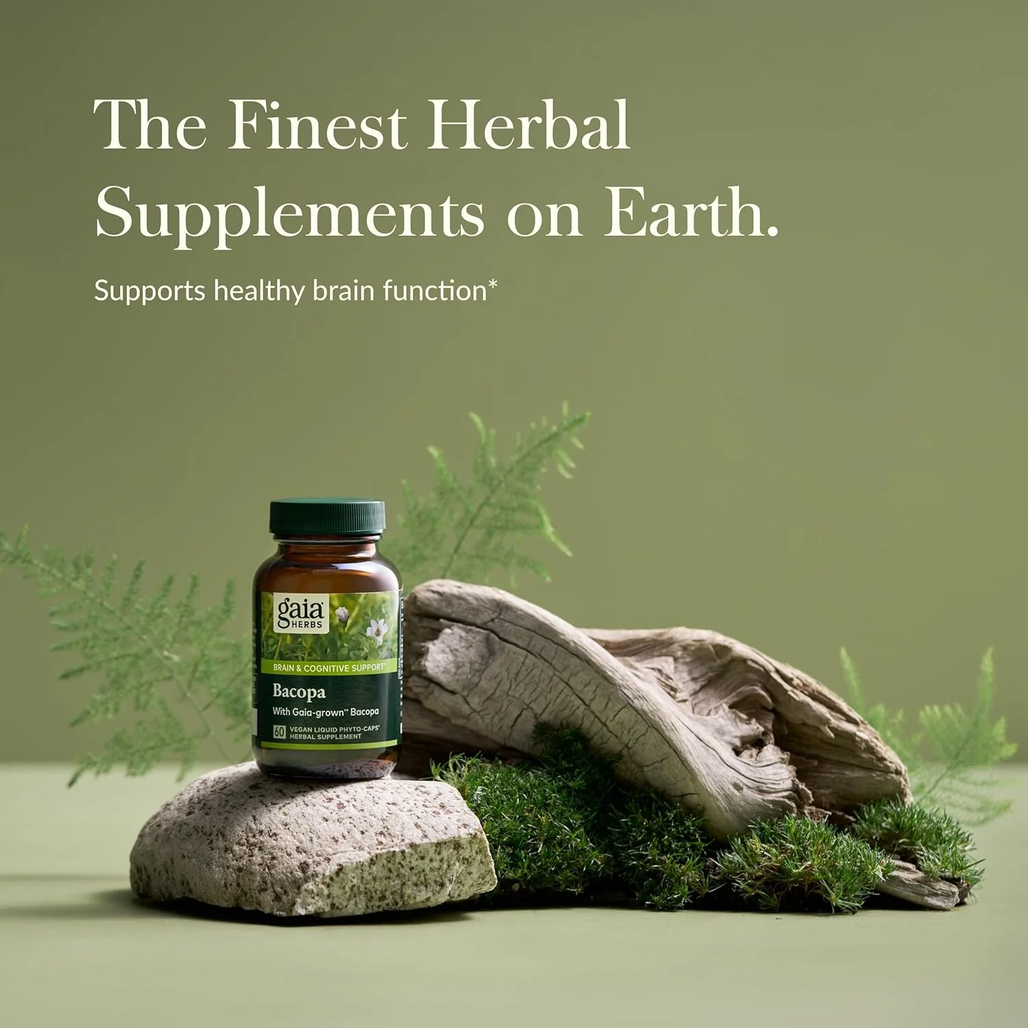 Gaia Herbs Bacopa - مکمل گیاهی برای پشتیبانی از مغز و شناخت - ساخته شده با باکوپا (Bacopa Monnieri) برای کمک به حمایت از یک ذهن شکوفا - 60 کپسول فیتو مایع وگان (تا 60 روز)