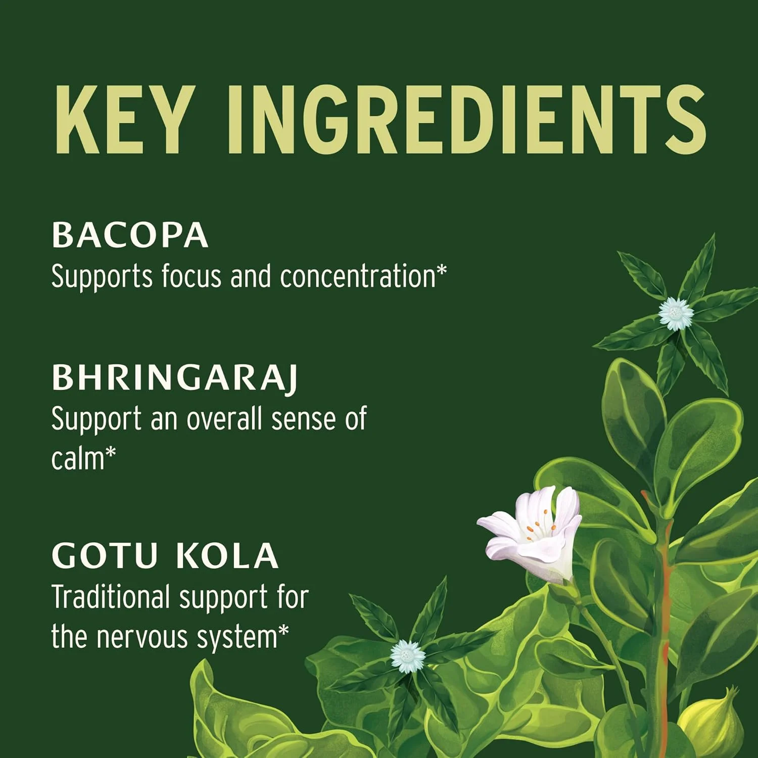 مکمل گیاهی بنیان بوتانیکالز برای وضوح ذهنی - مکمل ارگانیک با گوتو کولا و باکوپا - پشتیبانی از عملکرد شناختی سالم و عملکرد ذهنی* - 90 قرص - غیر GMO وگان با منبع پایدار مکمل گیاهی بنیان بوتانیکالز برای وضوح ذهنی - مکمل ارگانیک با گوتو کولا و باکوپا - پشتیبانی از عملکرد شناختی سالم و عملکرد ذهنی* - 90 قرص - غیر GMO وگان با منبع پایدار