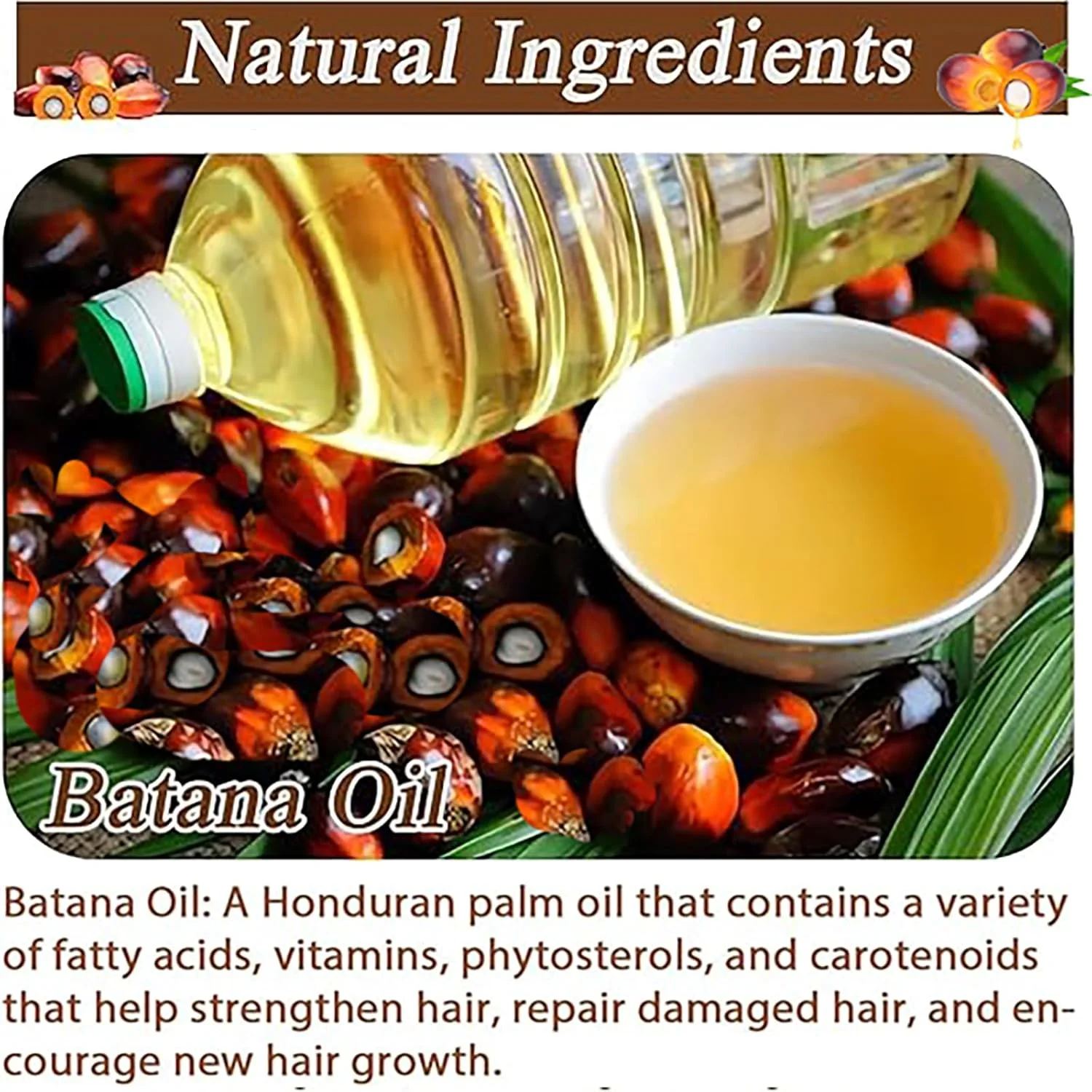 روغن باتانا ارگانیک HIHIDAY برای رشد مو، 100% طبیعی، نرم کننده باتانا خام از هندوراس، روغن موی ارگانیک برای موهای نازک، ترمیم موهای آسیب دیده، خشک و شکننده (2 عدد) روغن باتانا ارگانیک HIHIDAY برای رشد مو، 100% طبیعی، نرم کننده باتانا خام از هندوراس، روغن موی ارگانیک برای موهای نازک، ترمیم موهای آسیب دیده، خشک و شکننده (2 عدد)