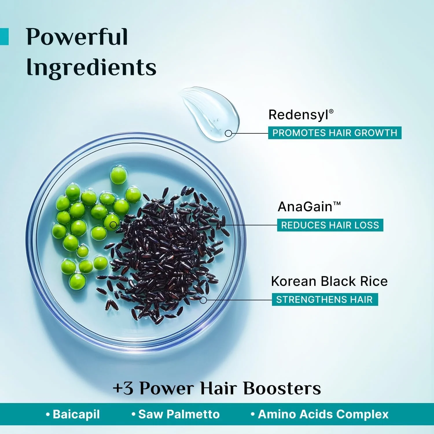 Pilgrim Redensyl 3% + Anagain 4% + Baicapil Advanced Hair Growth Serum (50ml) for Scalp with Korean Black Rice, Saw Palmetto | Control Hair Fall, Stimulate Hair Regrowth, Hair (50ml) Pilgrim Redensyl 3% + Anagain 4% + Baicapil Advanced Hair Growth Serum (50ml) for Scalp with Korean Black Rice, Saw Palmetto | Control Hair Fall, Stimulate Hair Regrowth, Hair (50ml)