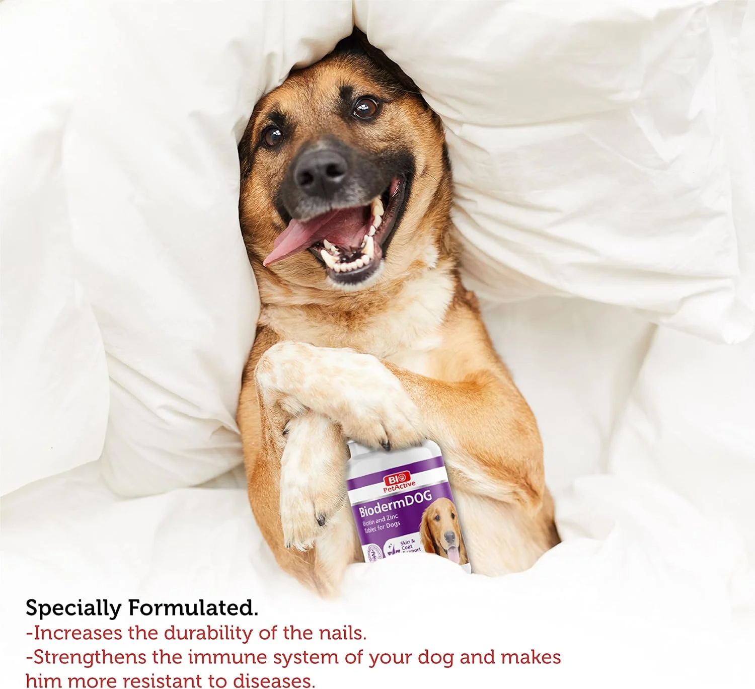 قرص بیوتین و زینک سگ بایو پت اکتیو بایودرم داگ 75 عددی قرص بیوتین و زینک سگ بایو پت اکتیو بایودرم داگ 75 عددی