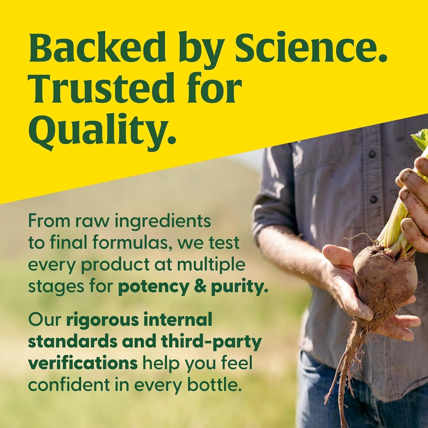 مگا فود کمپلکس ب کودکان - مکمل ویتامین ب کمپلکس - 8 ویتامین ب - ویتامین ب6، ویتامین ب12، فولات، بیوتین و موارد دیگر - پشتیبانی از تولید انرژی سلولی - گیاهخواری، بدون گلوتن - 30 قرص کوچک - تامین یک ماهه مگا فود کمپلکس ب کودکان - مکمل ویتامین ب کمپلکس - 8 ویتامین ب - ویتامین ب6، ویتامین ب12، فولات، بیوتین و موارد دیگر - پشتیبانی از تولید انرژی سلولی - گیاهخواری، بدون گلوتن - 30 قرص کوچک - تامین یک ماهه