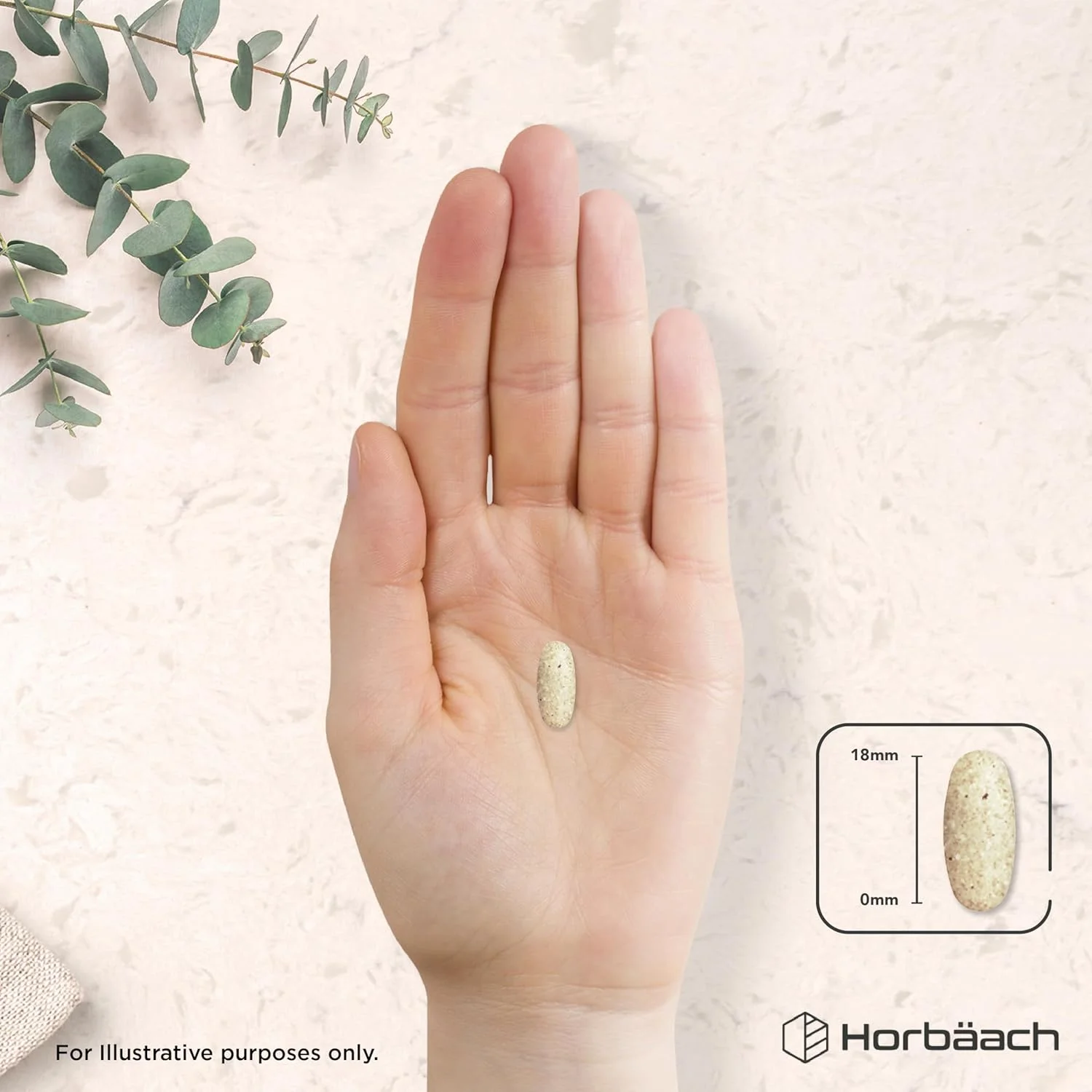 مولتی ویتامین دخترانه هورباخ | 120 قرص | پشتیبانی از سیستم ایمنی | حاوی ویتامین های ضروری B، آهن، کلسیم و موارد دیگر! | برای دختران جوان 13 تا 19 سال | گیاهی | بدون مواد نگهدارنده مصنوعی مولتی ویتامین دخترانه هورباخ | 120 قرص | پشتیبانی از سیستم ایمنی | حاوی ویتامین های ضروری B، آهن، کلسیم و موارد دیگر! | برای دختران جوان 13 تا 19 سال | گیاهی | بدون مواد نگهدارنده مصنوعی