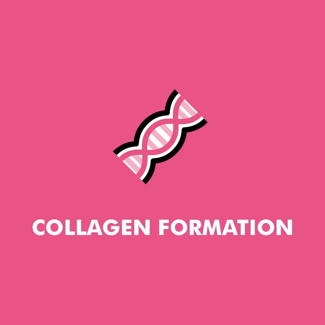 قرص جوشان کلاژن بایوگلن | 1000 میلی گرم | کلاژن دریایی هیدرولیز شده | بیوتین | سلنیوم و ویتامین C | بسته 20 عددی با طعم توت قرص جوشان کلاژن بایوگلن | 1000 میلی گرم | کلاژن دریایی هیدرولیز شده | بیوتین | سلنیوم و ویتامین C | بسته 20 عددی با طعم توت