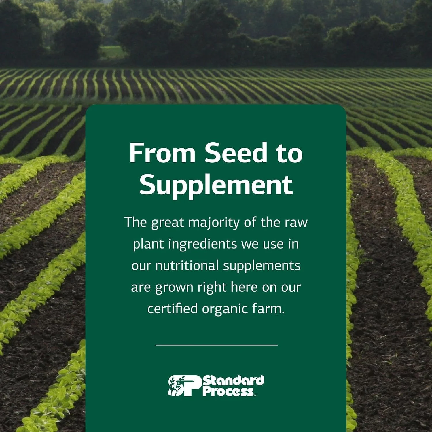 مکمل غذایی کامل Bio-Dent از Standard Process Inc. - برای سلامت پوست، عضلات و استخوان - حاوی کلسیم، ریشه شیرین بیان، منگنز، فسفر و موارد دیگر - 330 قرص مکمل غذایی کامل Bio-Dent از Standard Process Inc. - برای سلامت پوست، عضلات و استخوان - حاوی کلسیم، ریشه شیرین بیان، منگنز، فسفر و موارد دیگر - 330 قرص