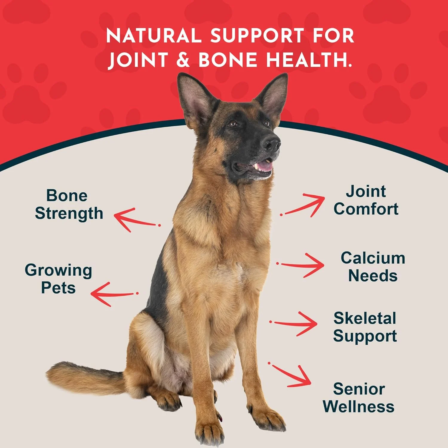 مکمل کلسیم جلبک دریایی Animal Essentials برای سگ ها و گربه ها دارای نشان کیفیت شورای ملی مکمل های حیوانات مکمل کلسیم جلبک دریایی Animal Essentials برای سگ ها و گربه ها دارای نشان کیفیت شورای ملی مکمل های حیوانات