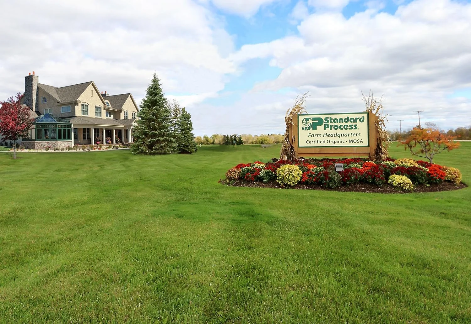 مکمل غذایی کامل Bio-Dent از Standard Process Inc. - برای سلامت پوست، عضلات و استخوان - حاوی کلسیم، ریشه شیرین بیان، منگنز، فسفر و موارد دیگر - 330 قرص مکمل غذایی کامل Bio-Dent از Standard Process Inc. - برای سلامت پوست، عضلات و استخوان - حاوی کلسیم، ریشه شیرین بیان، منگنز، فسفر و موارد دیگر - 330 قرص