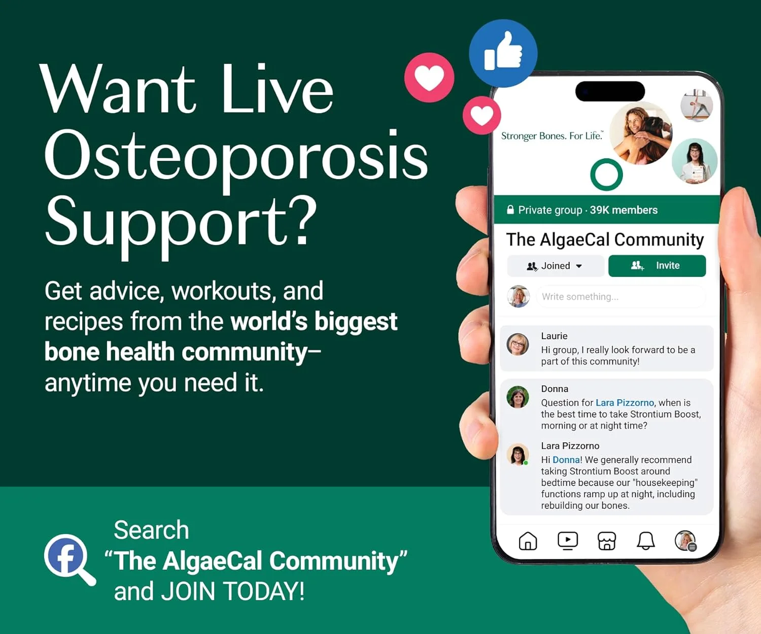 پک سازنده استخوان AlgaeCal، AlgaeCal Plus و Strontium Boost، با هم برای افزایش 3 برابری تراکم استخوان، کلسیم گیاهی، مکمل غذایی کامل استخوان، شامل ویتامین D3 و 13 ماده معدنی ضروری پک سازنده استخوان AlgaeCal، AlgaeCal Plus و Strontium Boost، با هم برای افزایش 3 برابری تراکم استخوان، کلسیم گیاهی، مکمل غذایی کامل استخوان، شامل ویتامین D3 و 13 ماده معدنی ضروری