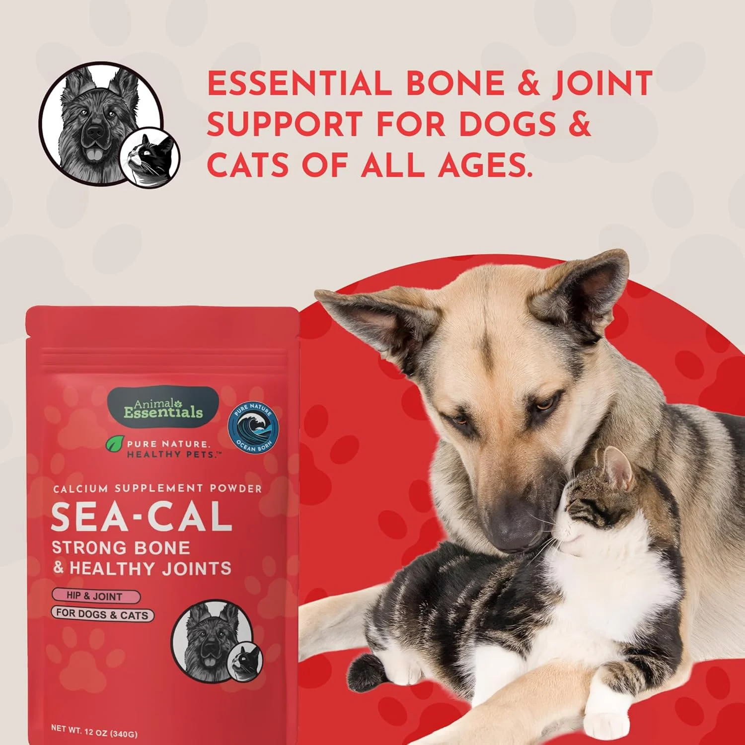 مکمل کلسیم جلبک دریایی Animal Essentials برای سگ ها و گربه ها دارای نشان کیفیت شورای ملی مکمل های حیوانات مکمل کلسیم جلبک دریایی Animal Essentials برای سگ ها و گربه ها دارای نشان کیفیت شورای ملی مکمل های حیوانات