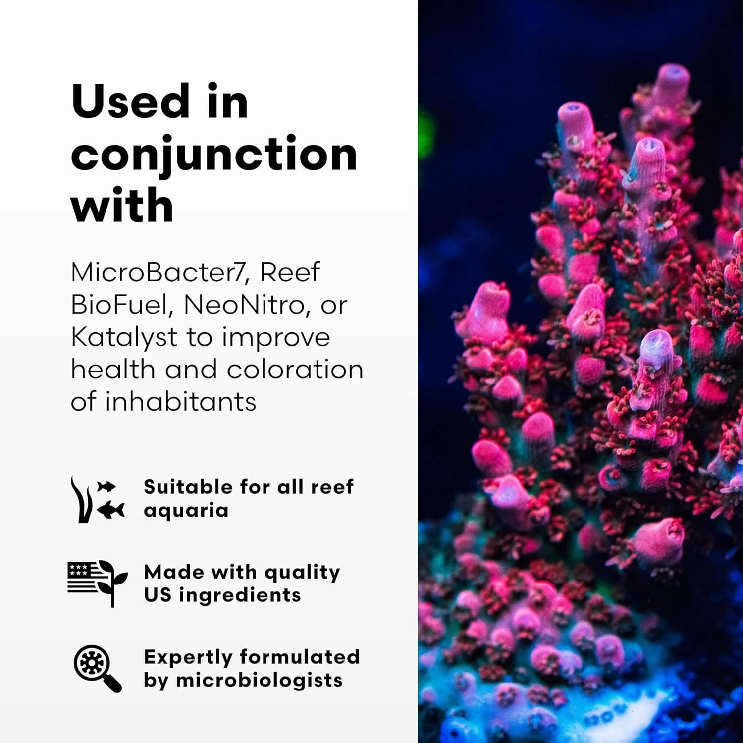 مکمل فسفر برای سیستم های آکواریومی ریف با مواد مغذی بسیار کم Brightwell Aquatics NeoPhos - 500 میلی لیتر