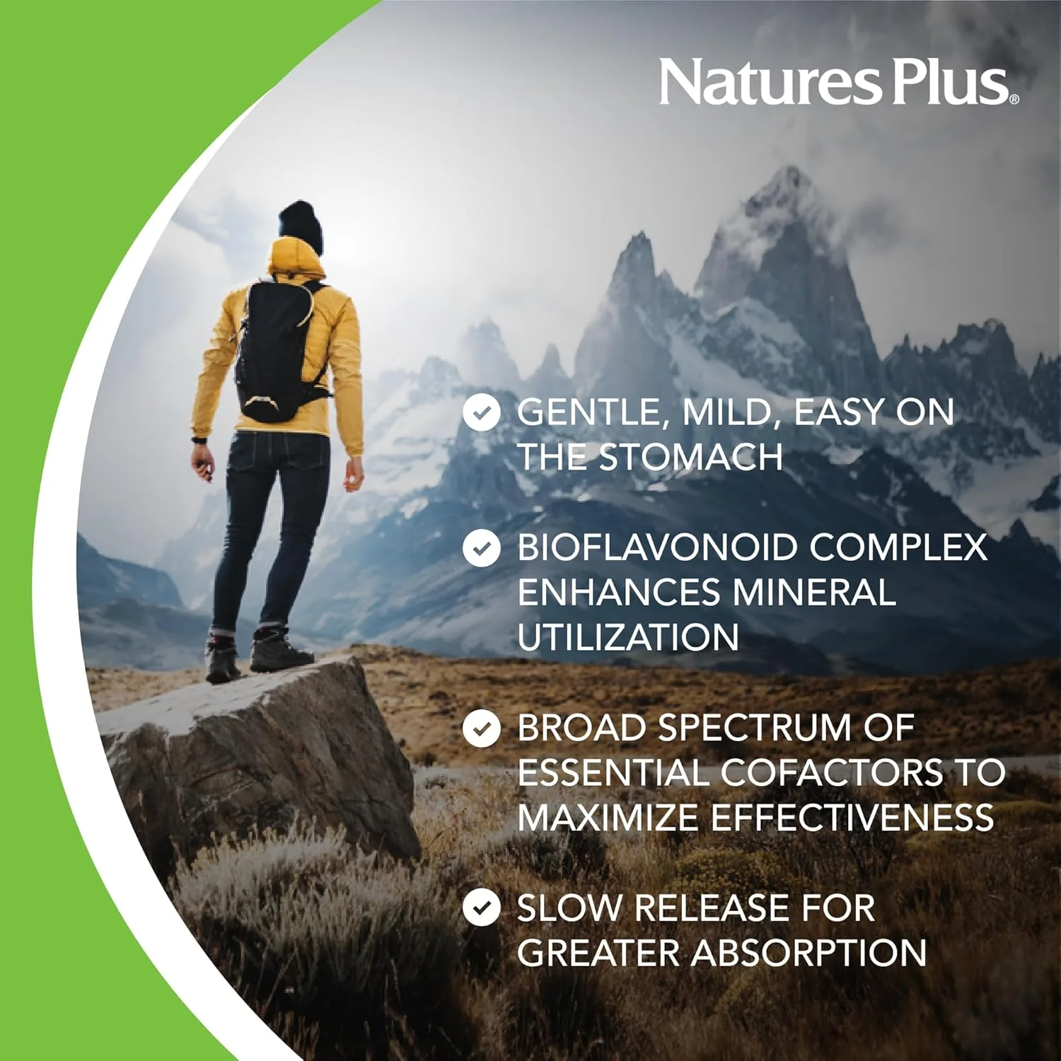 قرص آهن همی پلکس Nature's Plus - 30 عدد قرص با رهش پایدار، بسته 2 عددی - 85 میلی گرم آهن المنتال - سلامت کامل خون - حاوی ویتامین C و بیوفلاونوئیدها - وگان، بدون گلوتن - 60 سروینگ در مجموع