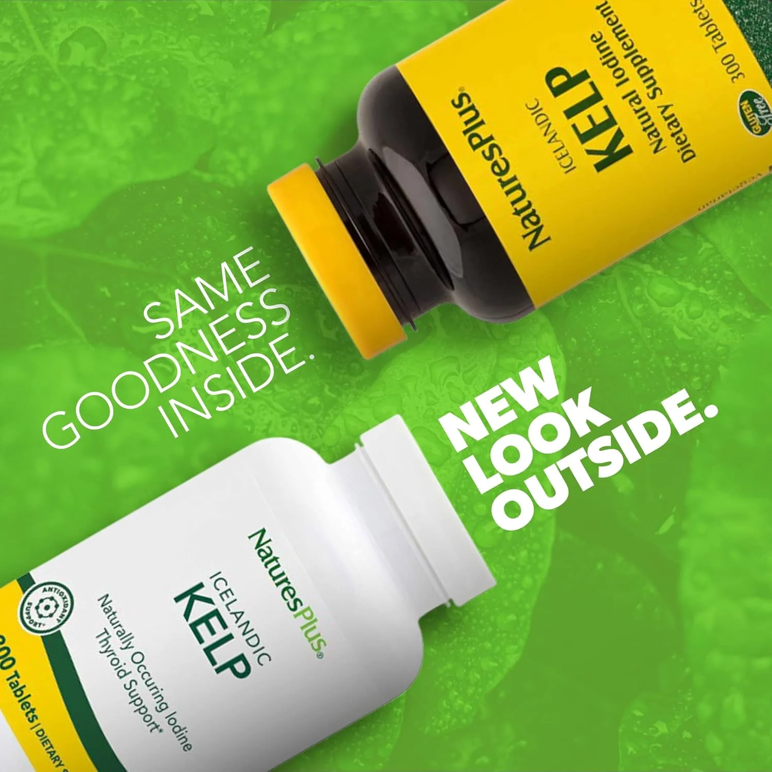 Nature's Plus Kelp، 300 قرص - برای تیروئید، ید طبیعی و حمایت از سلامت عمومی، بدون گلوتن