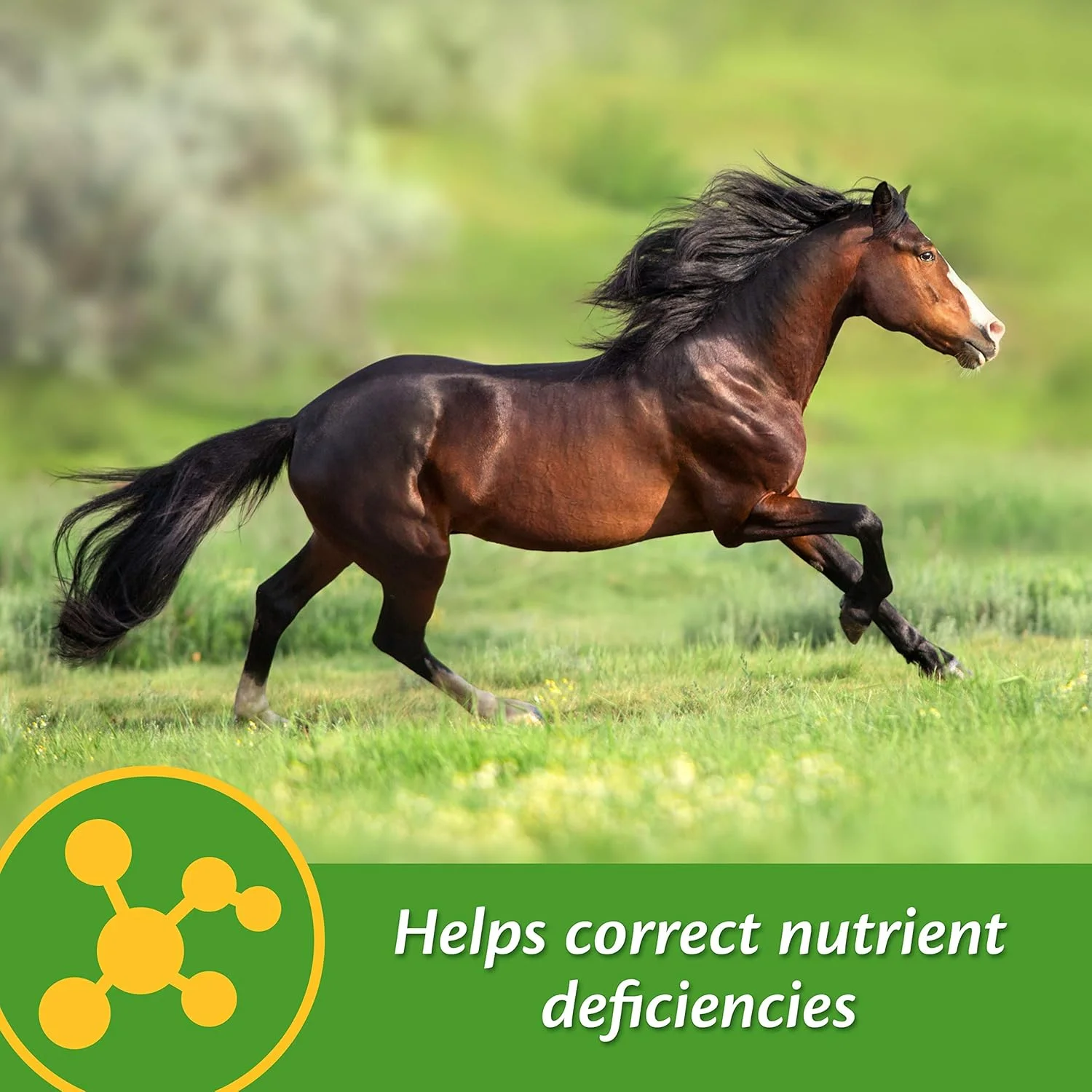 مکمل آنتی اکسیدانی ویتامین E و سلنیوم فارنام، 3 پوند، تامین 96 روزه مکمل آنتی اکسیدانی ویتامین E و سلنیوم فارنام، 3 پوند، تامین 96 روزه