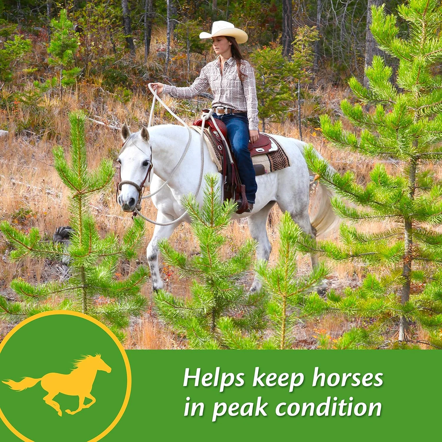 مکمل آنتی اکسیدانی ویتامین E و سلنیوم فارنام، 3 پوند، تامین 96 روزه مکمل آنتی اکسیدانی ویتامین E و سلنیوم فارنام، 3 پوند، تامین 96 روزه