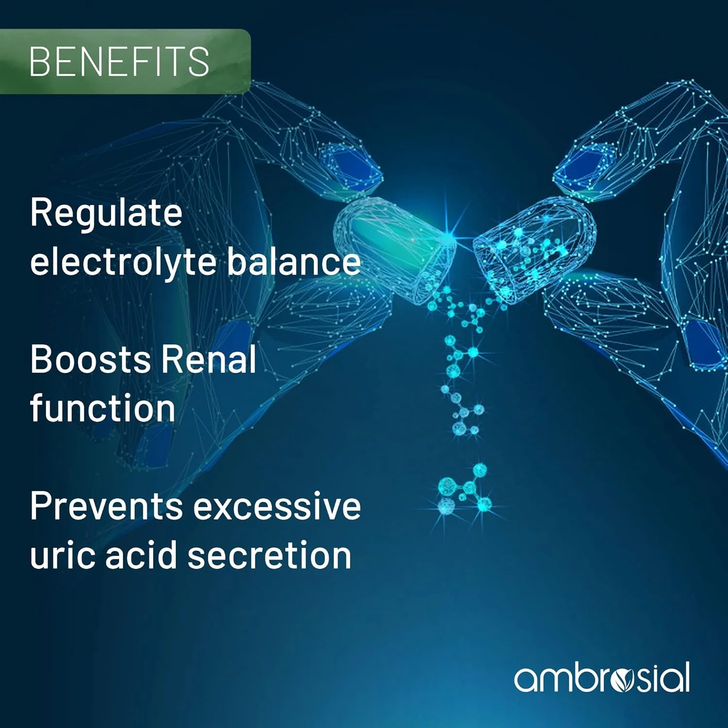 قرص ید و یدید پتاسیم آمبروسیال، 60 عدد قرص گیاهی (بسته 1 عددی - 60 عددی) قرص ید و یدید پتاسیم آمبروسیال، 60 عدد قرص گیاهی (بسته 1 عددی - 60 عددی)