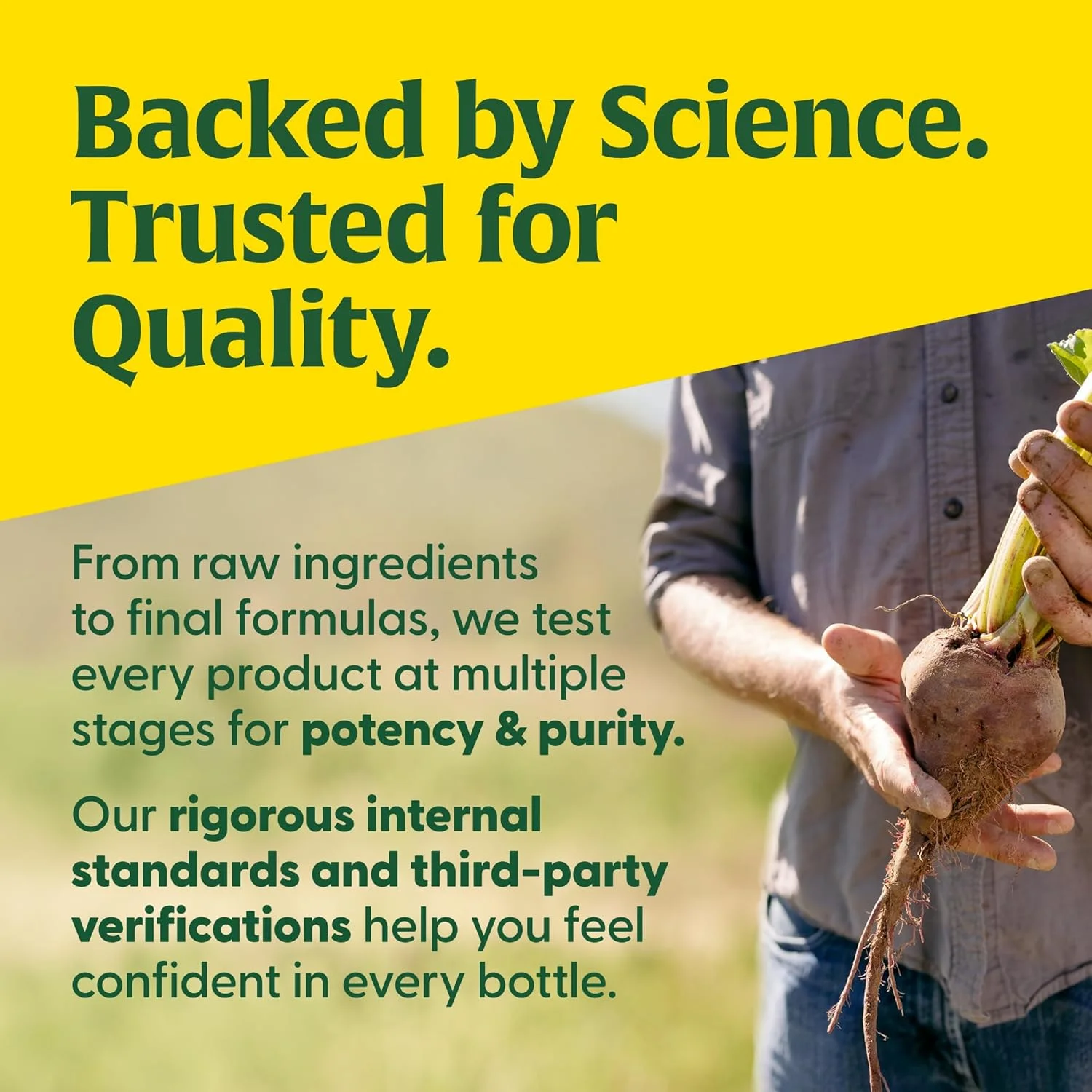 مولتی ویتامین زنان MegaFood - مکمل مولتی ویتامین با آهن، بیوتین، روی و ویتامین های C، D3، B12، E و موارد دیگر - بدون گلوتن، گیاهی و بدون لبنیات و سویا - 60 قرص (30 سروینگ) مولتی ویتامین زنان MegaFood - مکمل مولتی ویتامین با آهن، بیوتین، روی و ویتامین های C، D3، B12، E و موارد دیگر - بدون گلوتن، گیاهی و بدون لبنیات و سویا - 60 قرص (30 سروینگ)