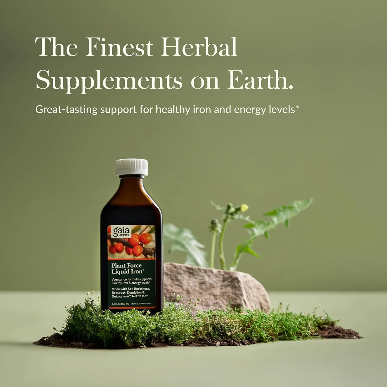 آهن مایع گیاهی Gaia Herbs | مکمل برای کمک به حفظ سطح سالم آهن و انرژی | حاوی بادیان ختایی، سنجد دریایی، ریشه چغندر، قاصدک و گزنه | 250 میلی لیتر | 25 سروینگ آهن مایع گیاهی Gaia Herbs | مکمل برای کمک به حفظ سطح سالم آهن و انرژی | حاوی بادیان ختایی، سنجد دریایی، ریشه چغندر، قاصدک و گزنه | 250 میلی لیتر | 25 سروینگ