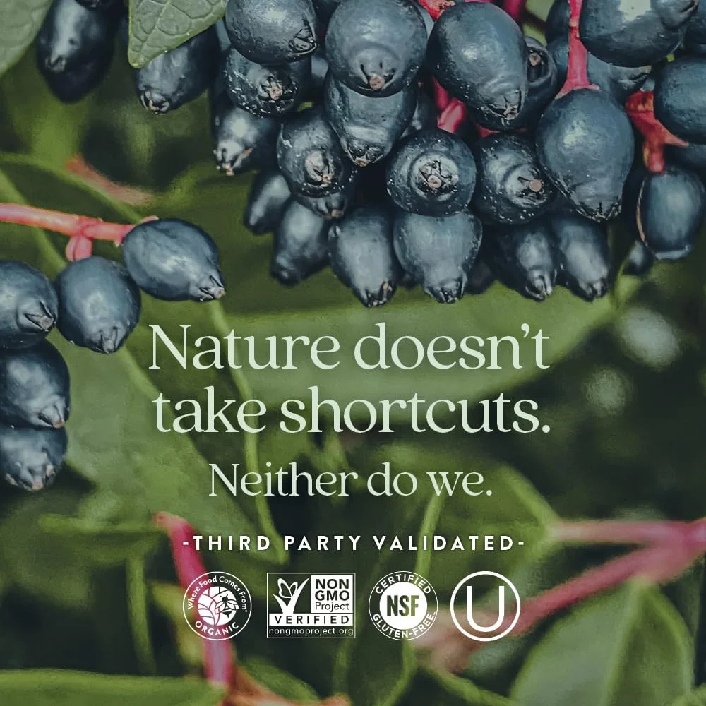 مکمل زینک، کمپلکس زینک تخمیر شده نیو چپتر، یک عدد در روز برای حمایت از سیستم ایمنی + سلامت پوست + مواد غیر تراریخته، بلع و هضم آسان، 60 عدد (تامین 2 ماهه) مکمل زینک، کمپلکس زینک تخمیر شده نیو چپتر، یک عدد در روز برای حمایت از سیستم ایمنی + سلامت پوست + مواد غیر تراریخته، بلع و هضم آسان، 60 عدد (تامین 2 ماهه)