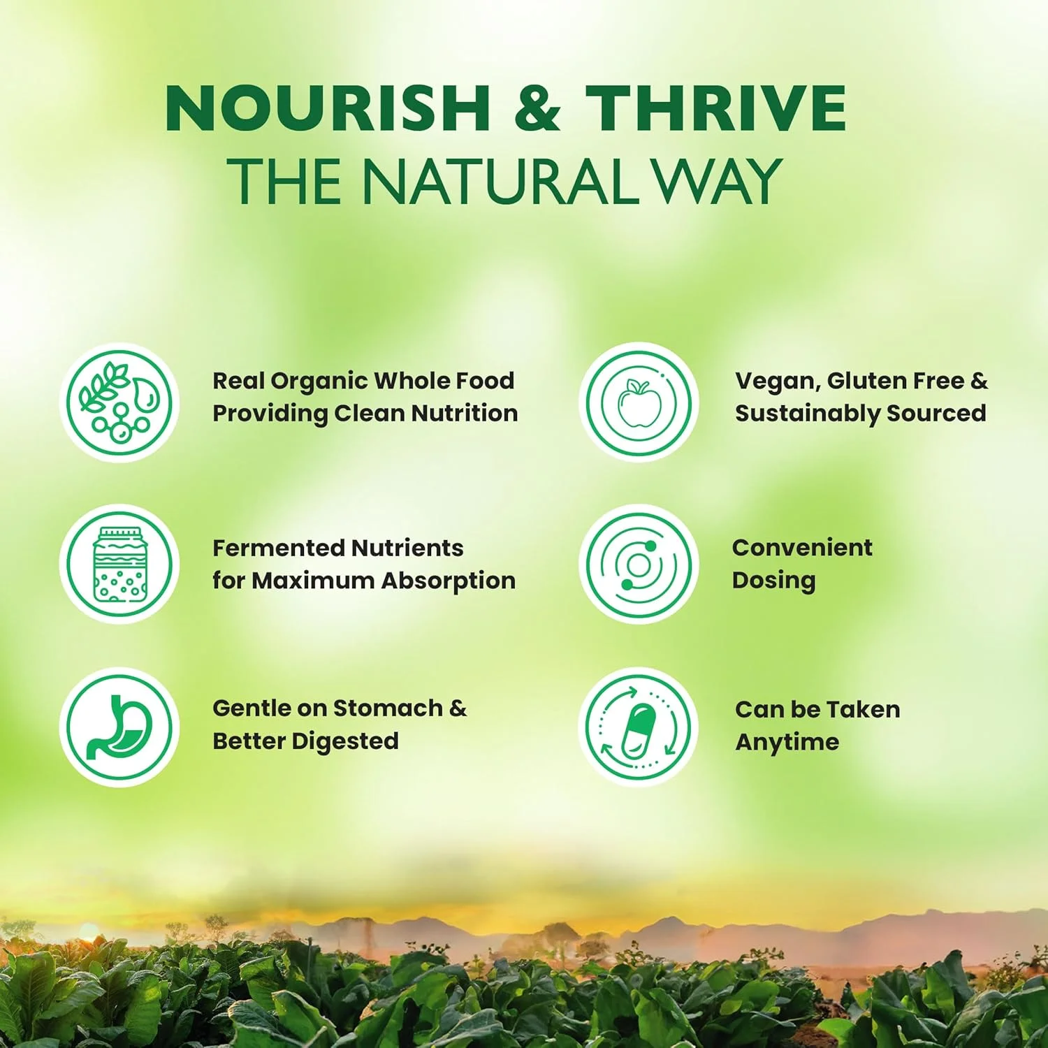 زینک گیاهی ارگانیک Earth، 25 میلی گرم I پشتیبانی از سلامت سیستم ایمنی، سلامت پوست، سلامت باروری و بهبود زخم I وگان، بدون گلوتن، تغذیه پاک I 60 کپسول زینک گیاهی ارگانیک Earth، 25 میلی گرم I پشتیبانی از سلامت سیستم ایمنی، سلامت پوست، سلامت باروری و بهبود زخم I وگان، بدون گلوتن، تغذیه پاک I 60 کپسول