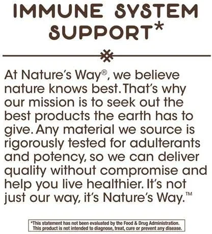 قرص مکیدنی زینک با طعم توت طبیعی Nature's Way، 60 عدد قرص مکیدنی زینک با طعم توت طبیعی Nature's Way، 60 عدد