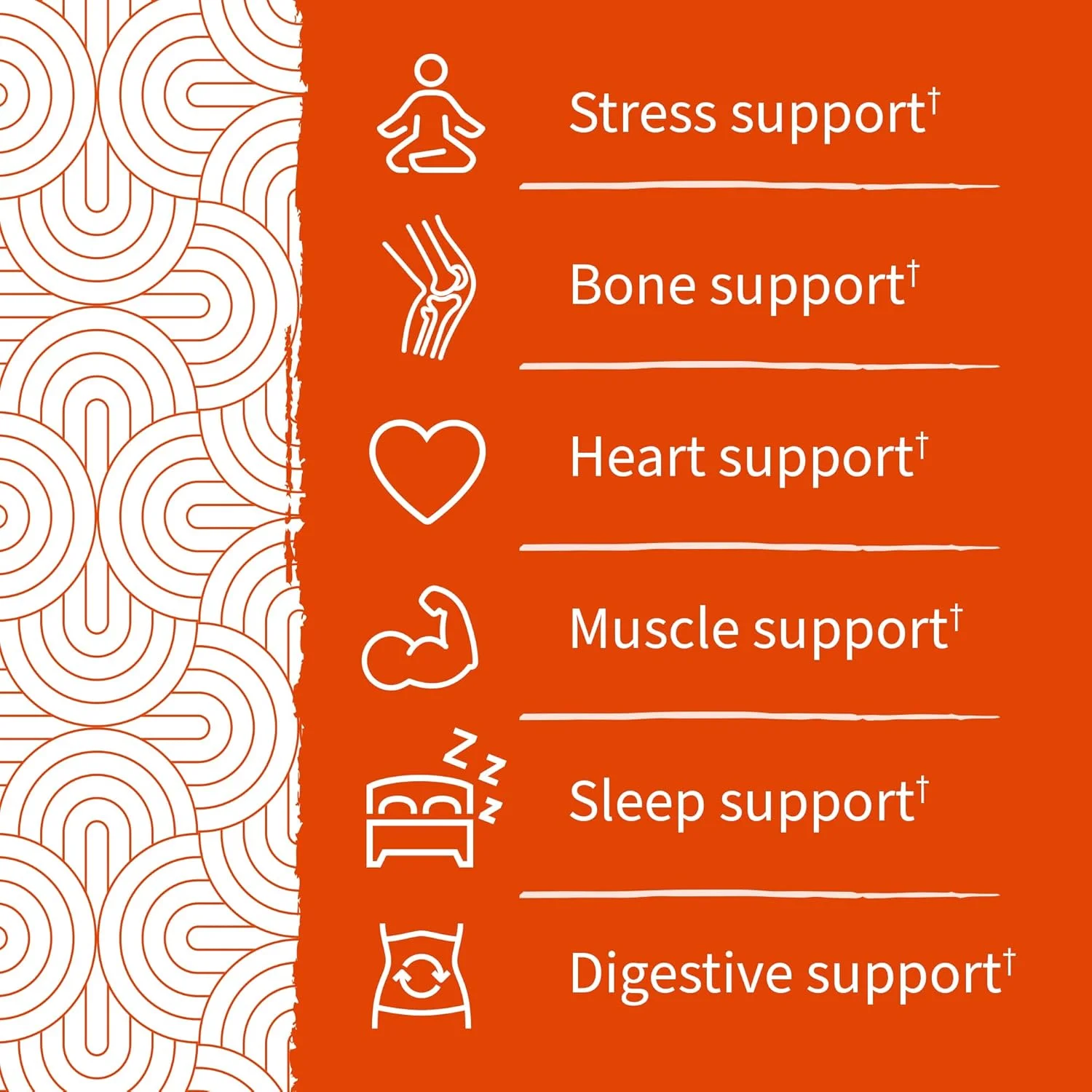 مکمل سیترات منیزیم دکتر فرموله شده Garden of Life با پریبیوتیکها و پروبیوتیکها برای استرس، خواب و ریکاوری - وگان، بدون گلوتن، کوشر، غیر GMO، بدون قند افزوده - 60 پاستیل مکمل سیترات منیزیم دکتر فرموله شده Garden of Life با پریبیوتیکها و پروبیوتیکها برای استرس، خواب و ریکاوری - وگان، بدون گلوتن، کوشر، غیر GMO، بدون قند افزوده - 60 پاستیل