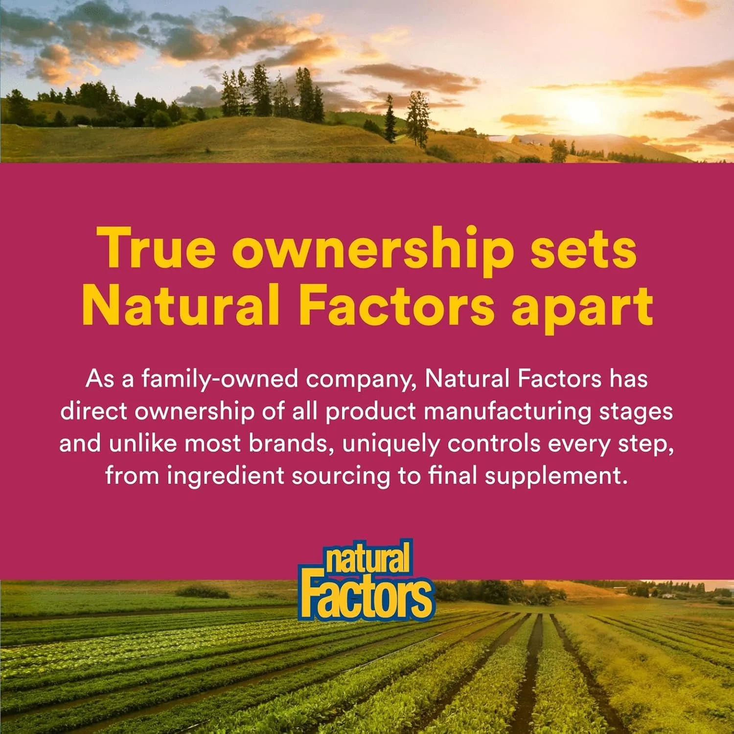 پودر منیزیم بیس گلیسینات خالص Natural Factors، 200 میلی گرم، 120 گرم پودر منیزیم بیس گلیسینات خالص Natural Factors، 200 میلی گرم، 120 گرم