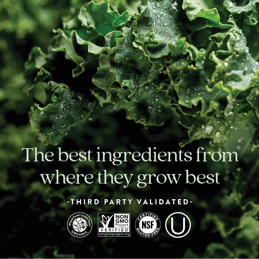 مولتی ویتامین بانوان نیو چپتر، Every Woman's One Daily 40+، تخمیر شده با پروبیوتیک ها + ویتامین D3 + ویتامین های B + مواد ارگانیک غیر GMO - 48 عدد (بسته بندی ممکن است متفاوت باشد) مولتی ویتامین بانوان نیو چپتر، Every Woman's One Daily 40+، تخمیر شده با پروبیوتیک ها + ویتامین D3 + ویتامین های B + مواد ارگانیک غیر GMO - 48 عدد (بسته بندی ممکن است متفاوت باشد)