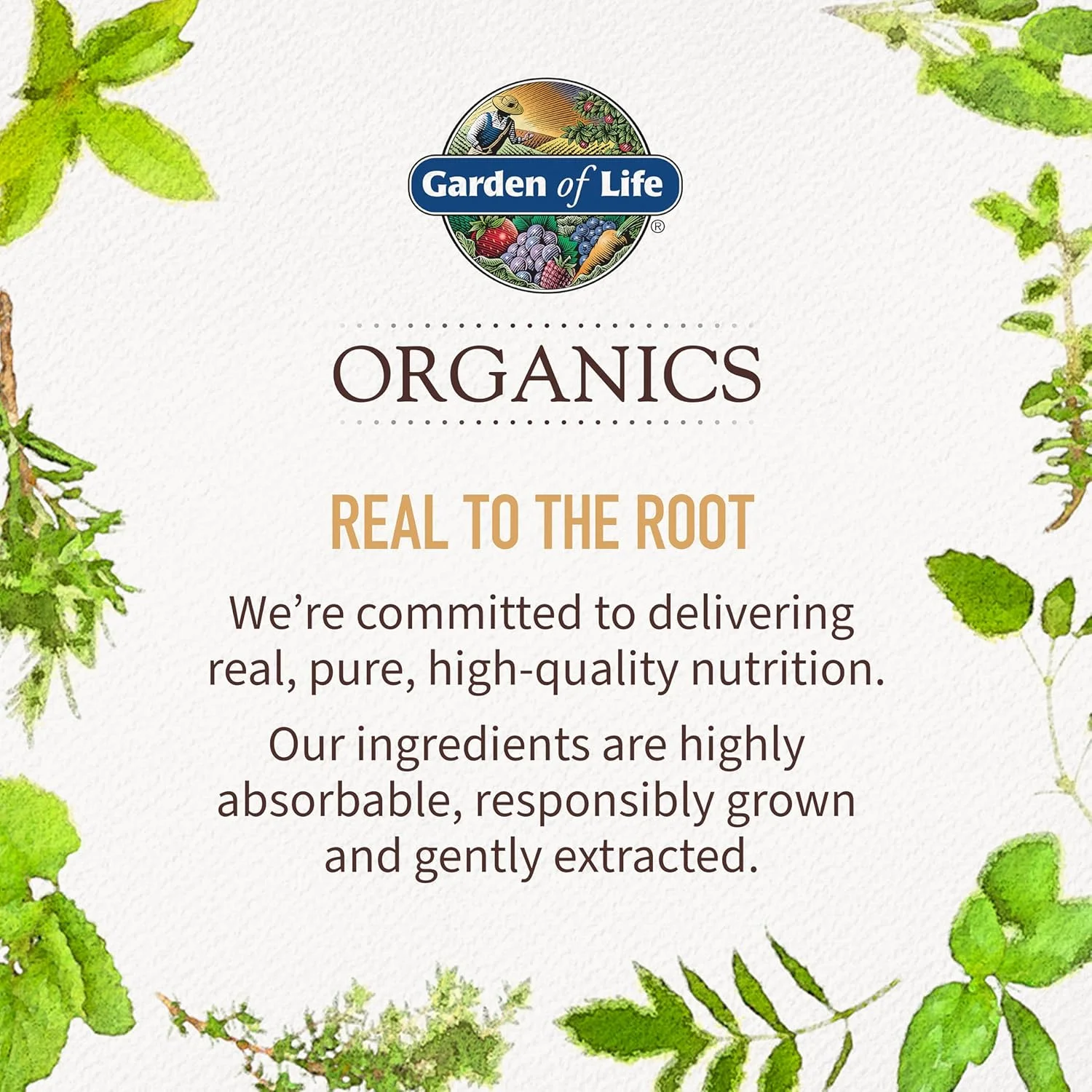 ویتامین های پاستیلی ارگانیک زنان Garden of Life mykind - توت - دارای گواهی ارگانیک، غیر GMO، وگان، کوشر مولتی کامل - متیل B12، C و D3 - بدون گلوتن، سویا و لبنیات، 120 پاستیل میوه واقعی ویتامین های پاستیلی ارگانیک زنان Garden of Life mykind - توت - دارای گواهی ارگانیک، غیر GMO، وگان، کوشر مولتی کامل - متیل B12، C و D3 - بدون گلوتن، سویا و لبنیات، 120 پاستیل میوه واقعی