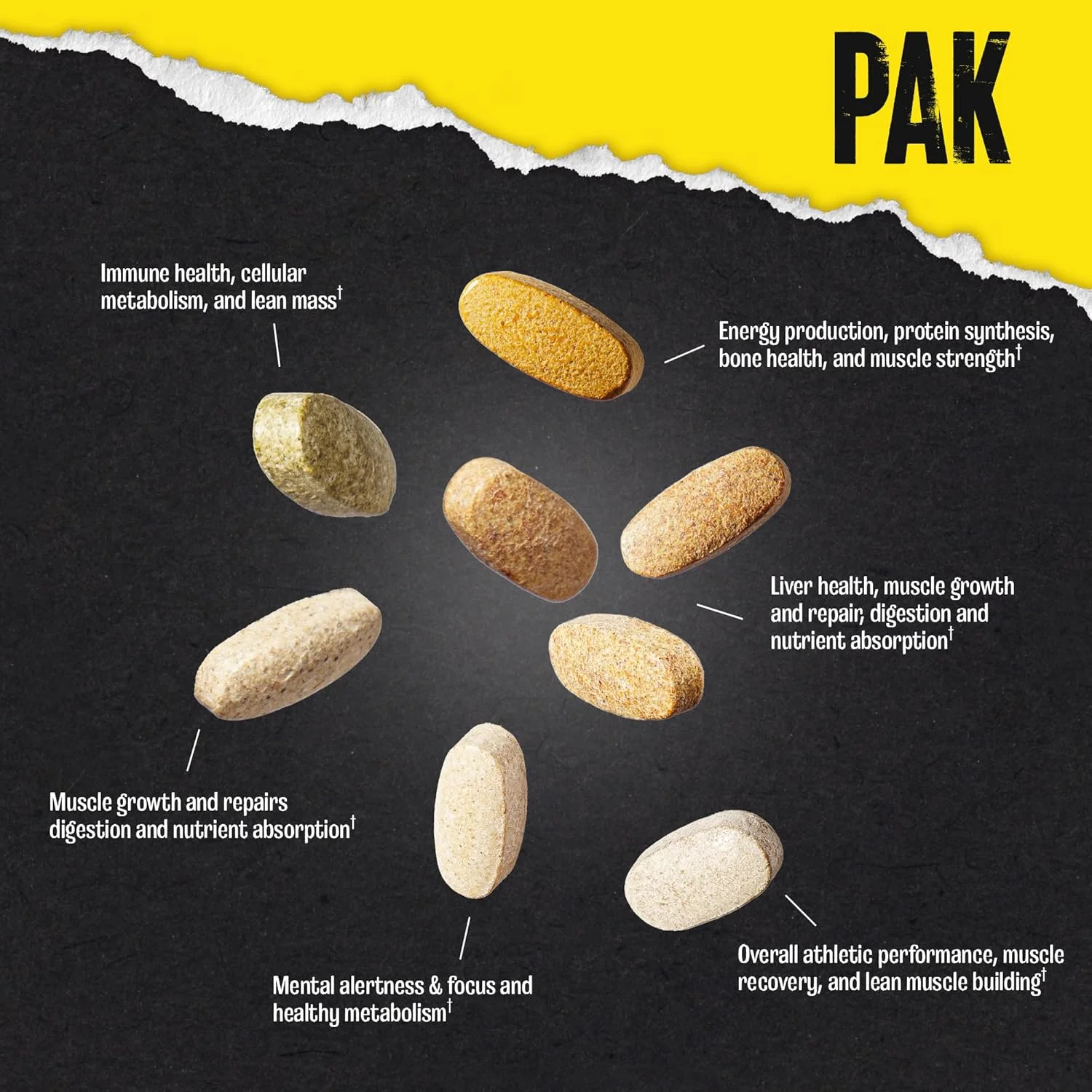Animal Pak - بسته ویتامین و مکمل همه کاره - روی، ویتامین C، B، D، آمینو اسیدها و موارد دیگر - مولتی ویتامین عملکرد تغذیه ورزشی برای زنان و مردان - نسخه به روز شده - 30 عدد Animal Pak - بسته ویتامین و مکمل همه کاره - روی، ویتامین C، B، D، آمینو اسیدها و موارد دیگر - مولتی ویتامین عملکرد تغذیه ورزشی برای زنان و مردان - نسخه به روز شده - 30 عدد