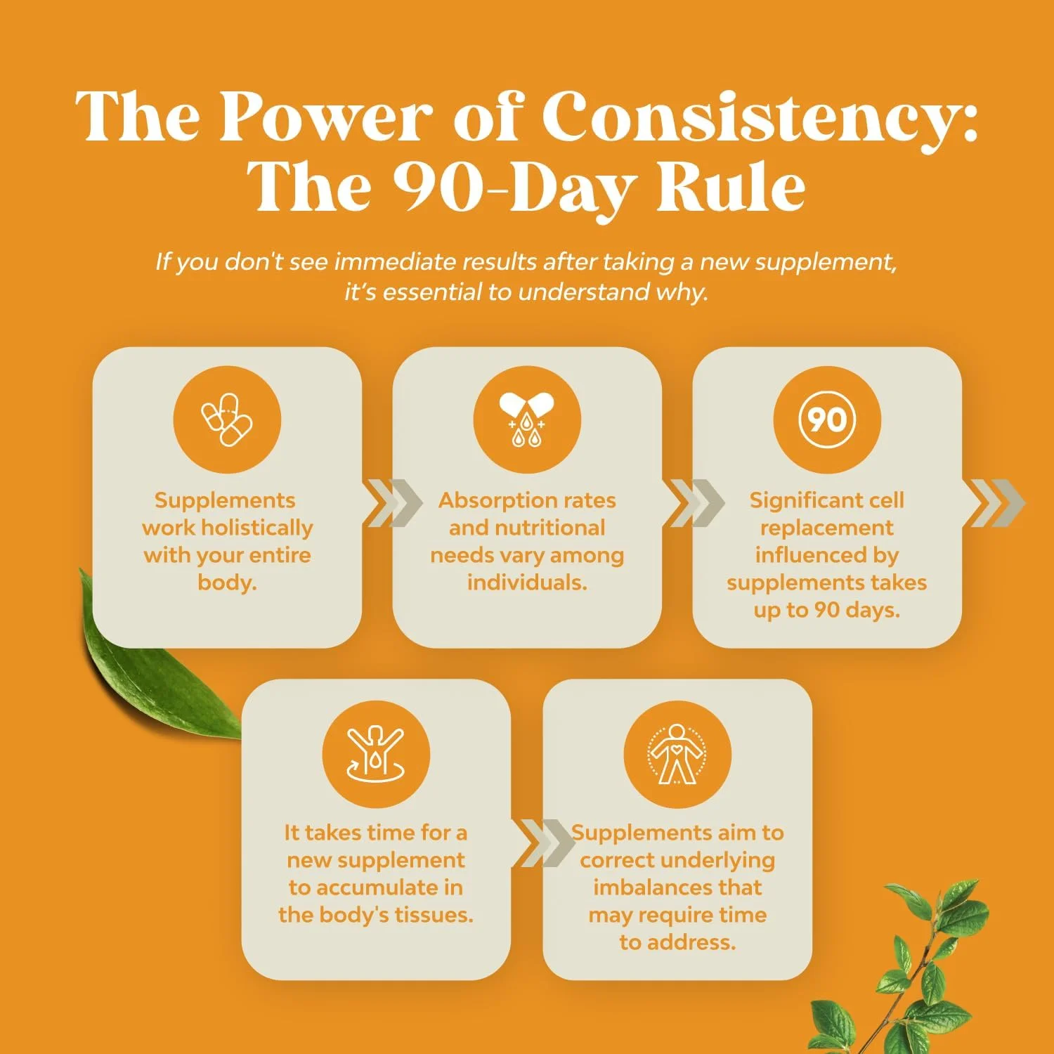 قطره های ویتامین D با ویتامین K-2 - ویتامین D مایع 5000 IU و مکمل ویتامین K2 MK7 برای حمایت از سیستم ایمنی و سلامت مفاصل - ویتامین D3 مایع با ویتامین K2 MK7 و روغن MCT برای جذب بهتر