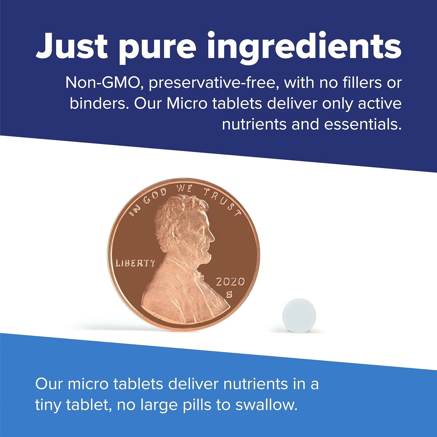 ویتامین K2 سوپریور سورس 500 میکروگرم MK-4 - مکمل تقویت و سلامت استخوان - مکمل ویتامین K کمک به سلامت بافت نرم و جذب کلسیم - 60 قرص زیر زبانی حل شونده ویتامین K2 سوپریور سورس 500 میکروگرم MK-4 - مکمل تقویت و سلامت استخوان - مکمل ویتامین K کمک به سلامت بافت نرم و جذب کلسیم - 60 قرص زیر زبانی حل شونده