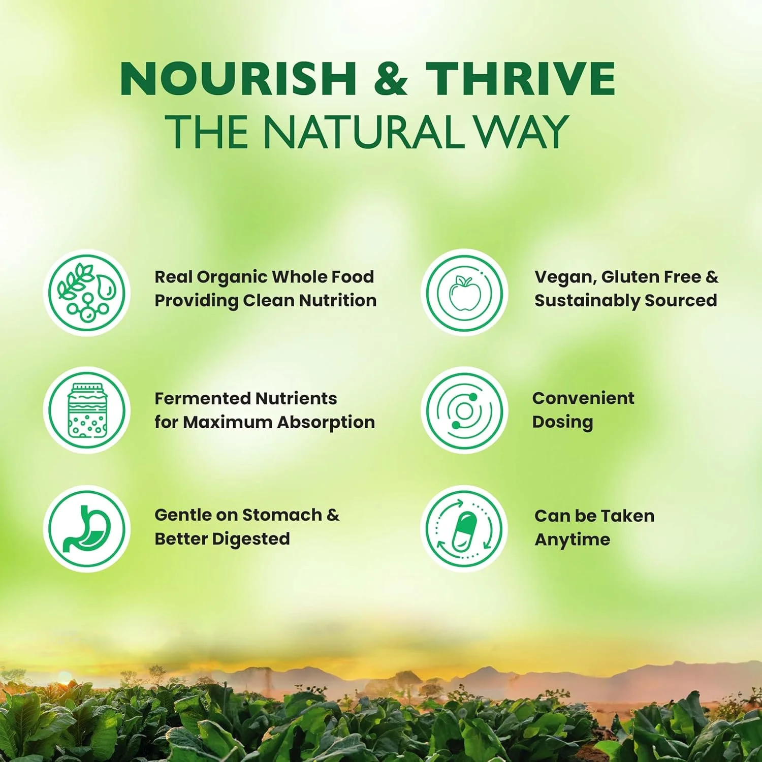 ویتامین D3 + K2 گیاهی ارگانیک Earth | پشتیبانی از سیستم ایمنی سالم | ساخته شده با ترکیبی هم افزایی از D3 از گلسنگ و K2 از ناتو | وگان، بدون گلوتن، تغذیه پاک | 60 کپسول ویتامین D3 + K2 گیاهی ارگانیک Earth | پشتیبانی از سیستم ایمنی سالم | ساخته شده با ترکیبی هم افزایی از D3 از گلسنگ و K2 از ناتو | وگان، بدون گلوتن، تغذیه پاک | 60 کپسول