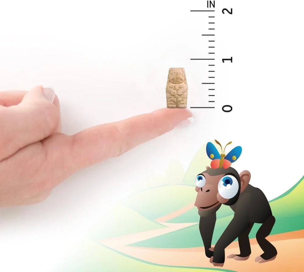 مکمل مولتی ویتامین گیاهی Garden of Life برای کودکان - ویتامین Code Kids جویدنی، ویتامین غذایی کامل و خام با پروبیوتیک، 30 خرس جویدنی