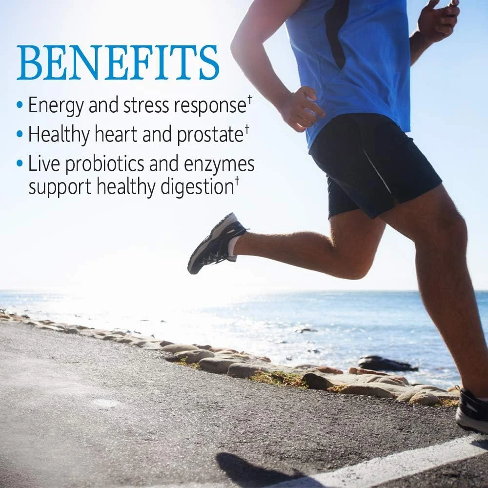 مولتی ویتامین مردان گاردن آف لایف، ویتامین کد Raw One - یک بار در روز، ویتامین به همراه میوه، سبزیجات و پروبیوتیک، 75 عدد مولتی ویتامین مردان گاردن آف لایف، ویتامین کد Raw One - یک بار در روز، ویتامین به همراه میوه، سبزیجات و پروبیوتیک، 75 عدد