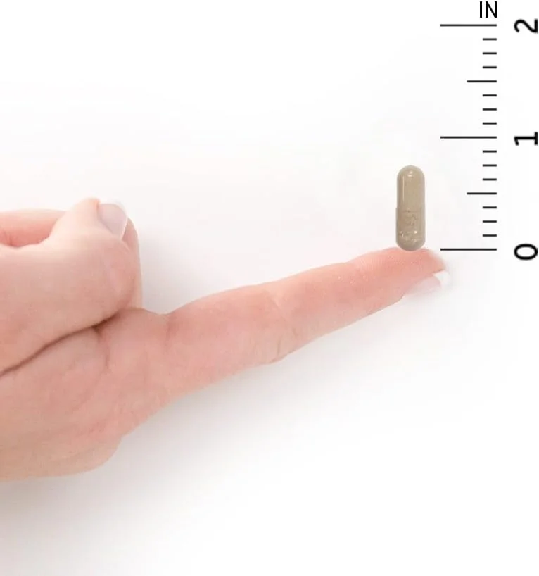 مولتی ویتامین Garden of Life مخصوص بانوان، Vitamin Code Women Multi - 120 کپسول، مولتی ویتامین غذایی کامل برای بانوان، ویتامین ها، آهن، فولات (نه اسید فولیک) و پروبیوتیک ها برای انرژی بانوان، مکمل های گیاهی مولتی ویتامین Garden of Life مخصوص بانوان، Vitamin Code Women Multi - 120 کپسول، مولتی ویتامین غذایی کامل برای بانوان، ویتامین ها، آهن، فولات (نه اسید فولیک) و پروبیوتیک ها برای انرژی بانوان، مکمل های گیاهی