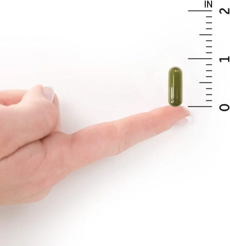 گاردن آف لایف ویتامین D، ویتامین کد Raw D3، ویتامین D 2000 IU، مکمل های ویتامین D غذایی کامل Raw با کلرلا، میوه، سبزیجات و پروبیوتیک ها برای سلامت استخوان و ایمنی، 60 کپسول گیاهی گاردن آف لایف ویتامین D، ویتامین کد Raw D3، ویتامین D 2000 IU، مکمل های ویتامین D غذایی کامل Raw با کلرلا، میوه، سبزیجات و پروبیوتیک ها برای سلامت استخوان و ایمنی، 60 کپسول گیاهی