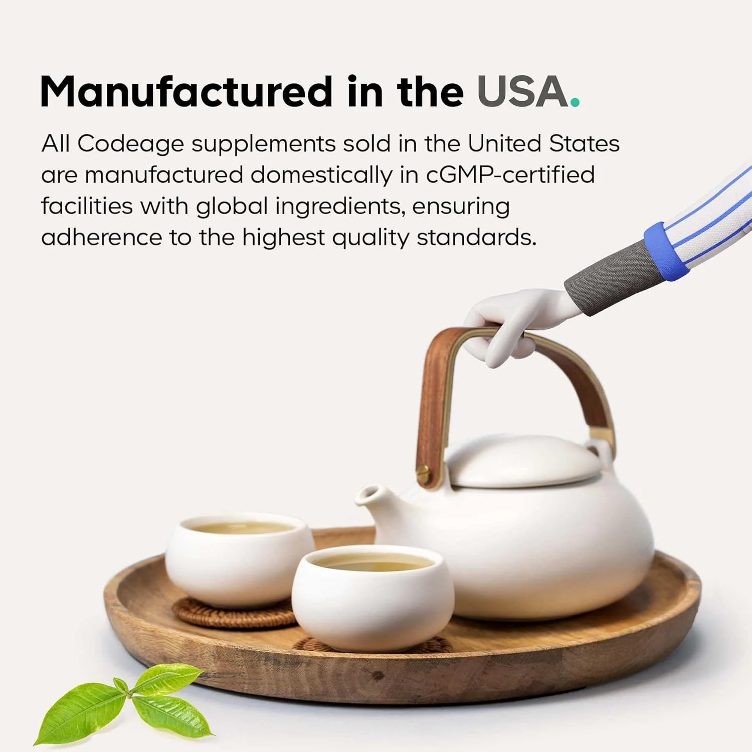 مکمل مولتی ویتامین روزانه مردانه Codeage، 25+ ویتامین و مواد معدنی برای بزرگسالان، ویتامین های غذایی کامل ارگانیک برای مردان، ویتامین A، ویتامین های B، ویتامین C، D، E، K، پروبیوتیک، روی، امگا 3، 120 کپسول مکمل مولتی ویتامین روزانه مردانه Codeage، 25+ ویتامین و مواد معدنی برای بزرگسالان، ویتامین های غذایی کامل ارگانیک برای مردان، ویتامین A، ویتامین های B، ویتامین C، D، E، K، پروبیوتیک، روی، امگا 3، 120 کپسول