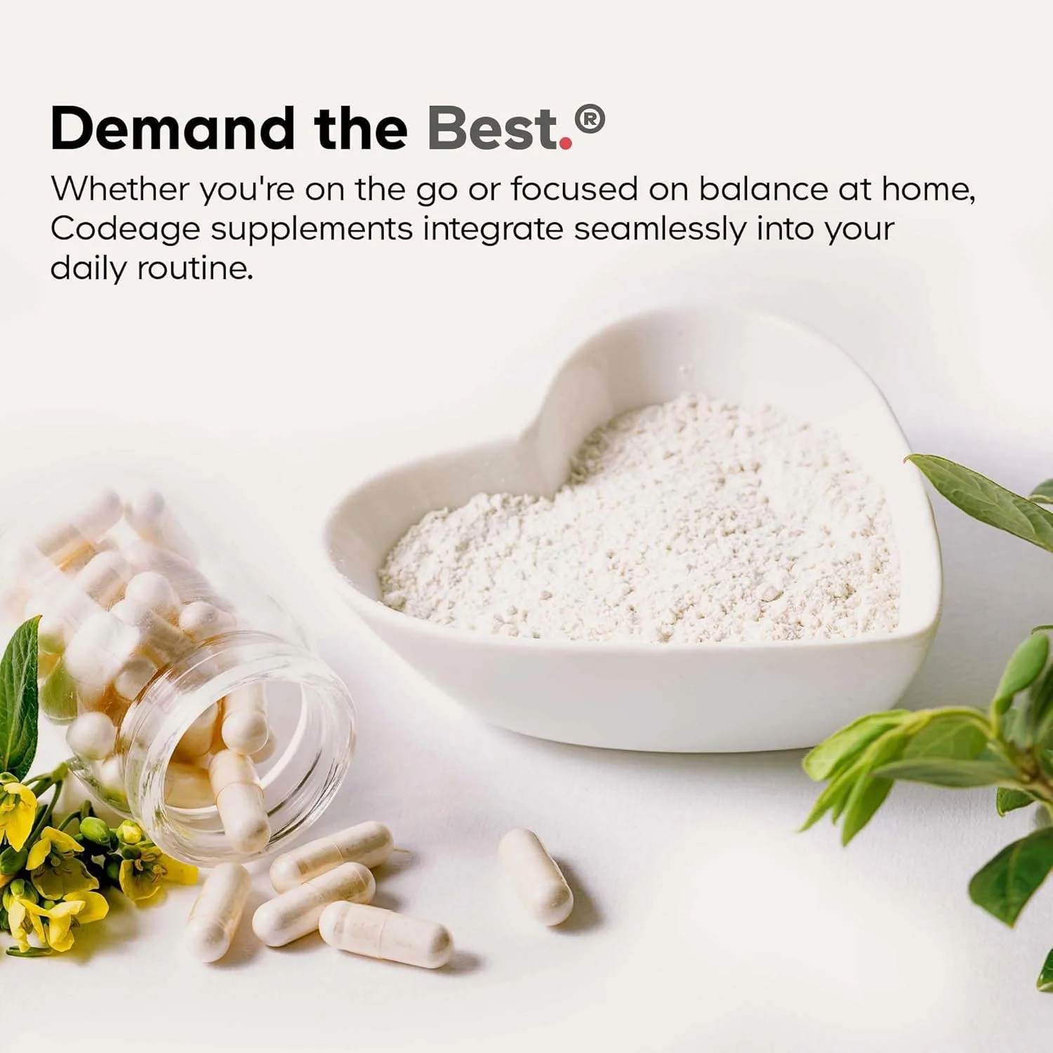 مکمل مولتی ویتامین روزانه مردانه Codeage، 25+ ویتامین و مواد معدنی برای بزرگسالان، ویتامین های غذایی کامل ارگانیک برای مردان، ویتامین A، ویتامین های B، ویتامین C، D، E، K، پروبیوتیک، روی، امگا 3، 120 کپسول مکمل مولتی ویتامین روزانه مردانه Codeage، 25+ ویتامین و مواد معدنی برای بزرگسالان، ویتامین های غذایی کامل ارگانیک برای مردان، ویتامین A، ویتامین های B، ویتامین C، D، E، K، پروبیوتیک، روی، امگا 3، 120 کپسول