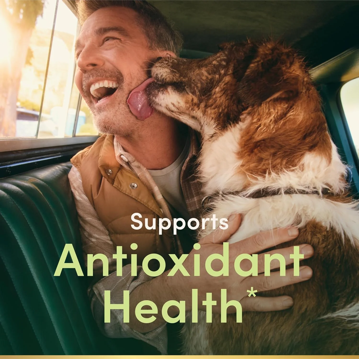 ویتامین ای Nature's Bounty، پشتیبانی از سلامت سیستم ایمنی و سلامت آنتی اکسیدانی، 1000 واحد بین المللی، 60 سافت ژل ویتامین ای Nature's Bounty، پشتیبانی از سلامت سیستم ایمنی و سلامت آنتی اکسیدانی، 1000 واحد بین المللی، 60 سافت ژل