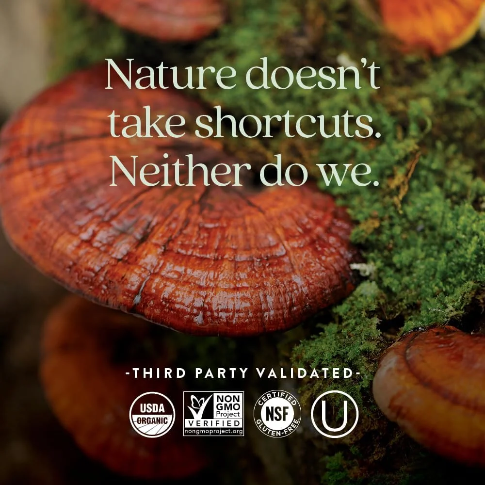 نیو چپتر ویتامین D3 تخمیری، 60 کپسول