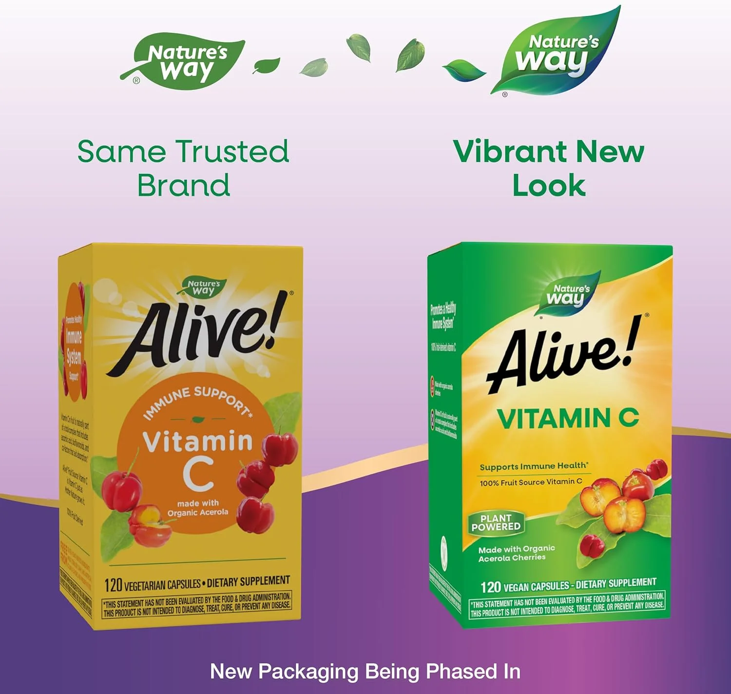 Nature's Way Alive! ویتامین C با منبع میوه، ساخته شده با آسرولا ارگانیک، 120 عدد Nature's Way Alive! ویتامین C با منبع میوه، ساخته شده با آسرولا ارگانیک، 120 عدد