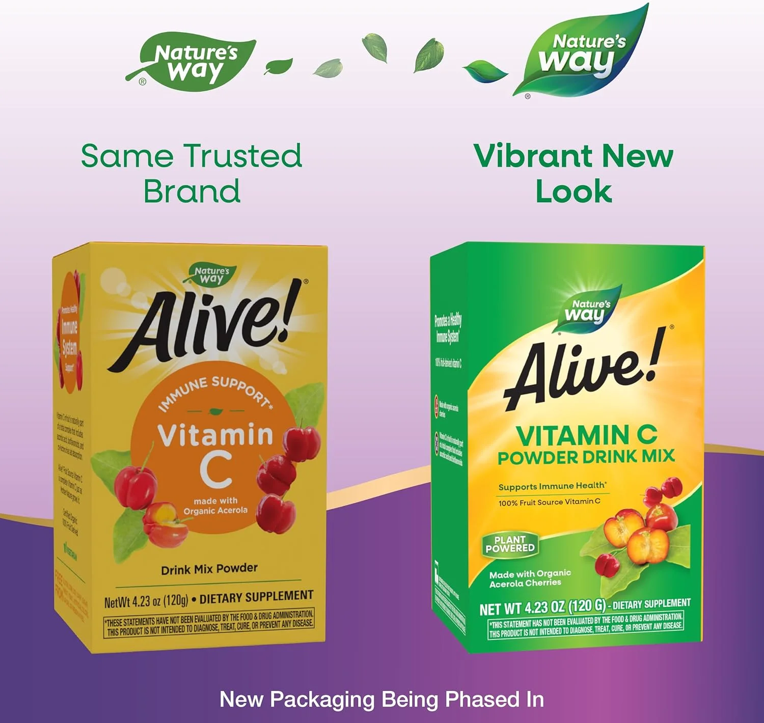 مخلوط پودر نوشیدنی ویتامین C منبع میوه Nature's Way Alive، میوه آسرولا ارگانیک، 120 گرم مخلوط پودر نوشیدنی ویتامین C منبع میوه Nature's Way Alive، میوه آسرولا ارگانیک، 120 گرم