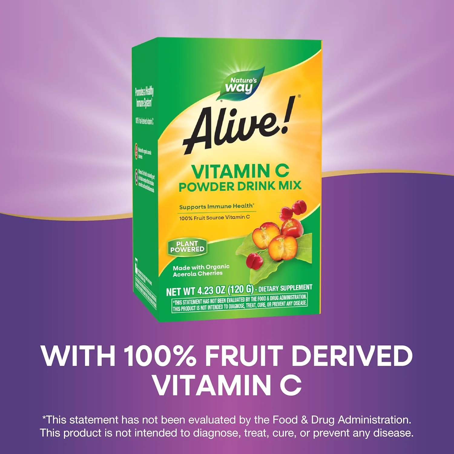 مخلوط پودر نوشیدنی ویتامین C منبع میوه Nature's Way Alive، میوه آسرولا ارگانیک، 120 گرم مخلوط پودر نوشیدنی ویتامین C منبع میوه Nature's Way Alive، میوه آسرولا ارگانیک، 120 گرم
