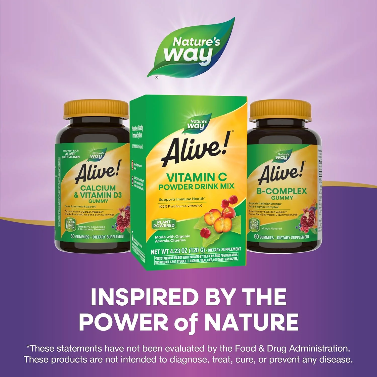 مخلوط پودر نوشیدنی ویتامین C منبع میوه Nature's Way Alive، میوه آسرولا ارگانیک، 120 گرم مخلوط پودر نوشیدنی ویتامین C منبع میوه Nature's Way Alive، میوه آسرولا ارگانیک، 120 گرم